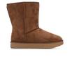Chestnut