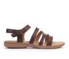 Dk Brown