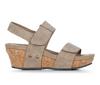 Taupe