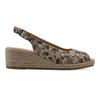 Leopard W