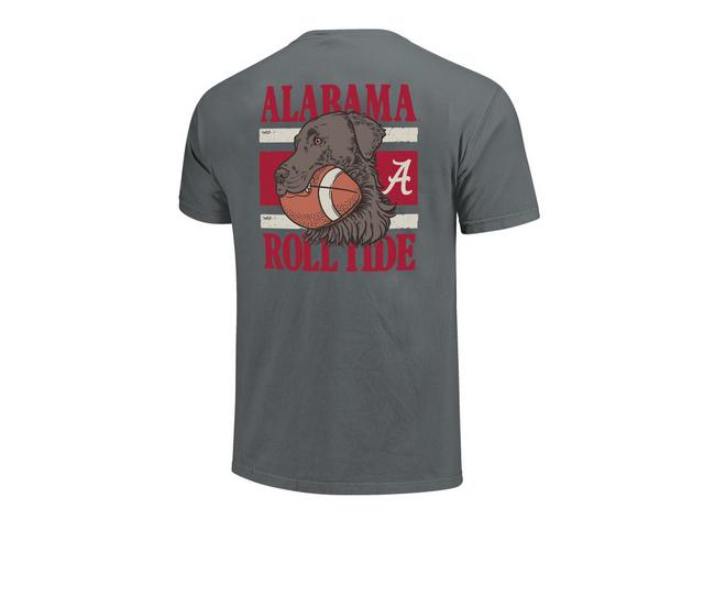 Image One LAB FOOTBALL STRIPES in GRANITE AL color