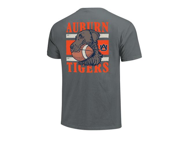Image One LAB FOOTBALL STRIPES in GRANITE AUB color