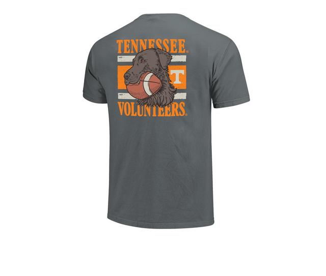 Image One LAB FOOTBALL STRIPES in GRANITE TN color