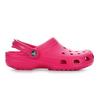 Dragon Fruit