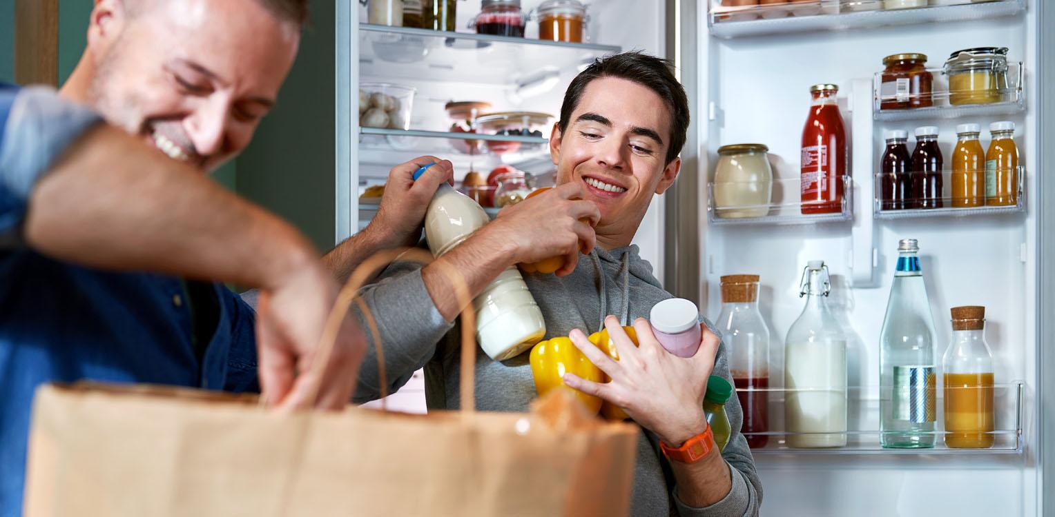 hotpoint - Refrigeration, image of Fridge