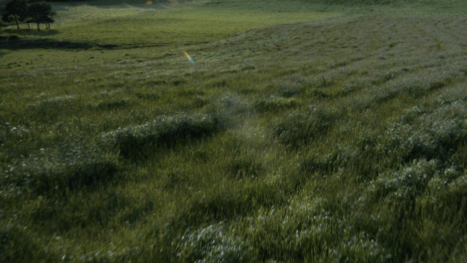 Sustainability - Video