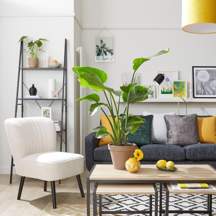 Living Room Furniture