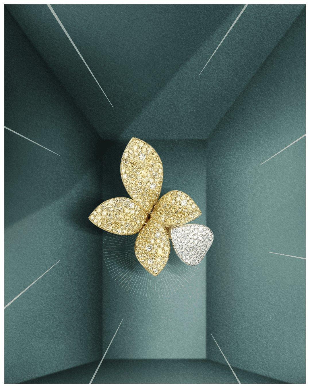 Festive_Gifting_1