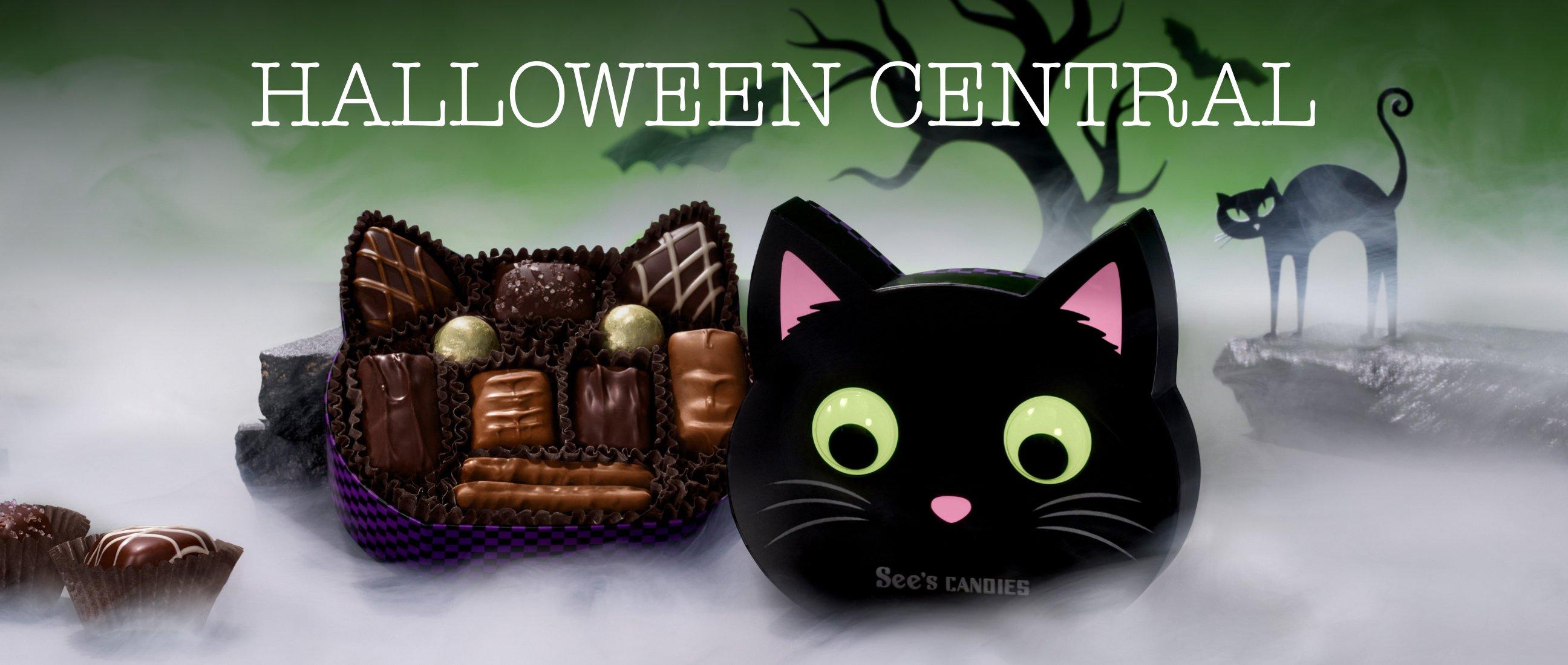 Halloween Central featuring Purr-fect Treat Box