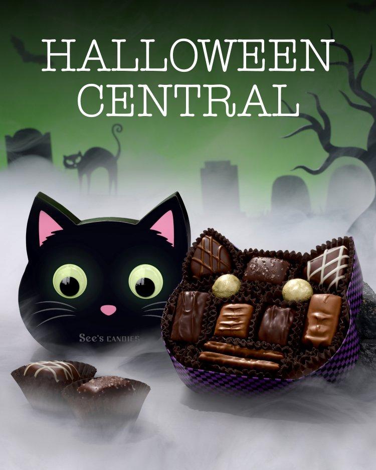 Halloween Central featuring Purr-fect Treat Box