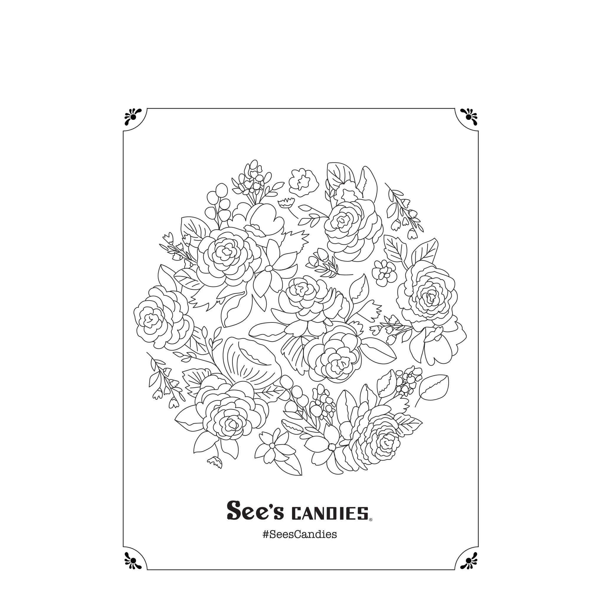 Sweet Flower Blooms