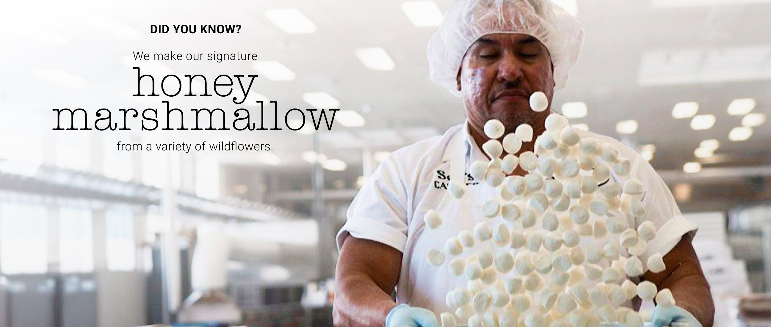 Close up of See's Honey Marshmallow in the factory with a caption that reads "Our honey marshmallow is made from a blend of wildflowers."