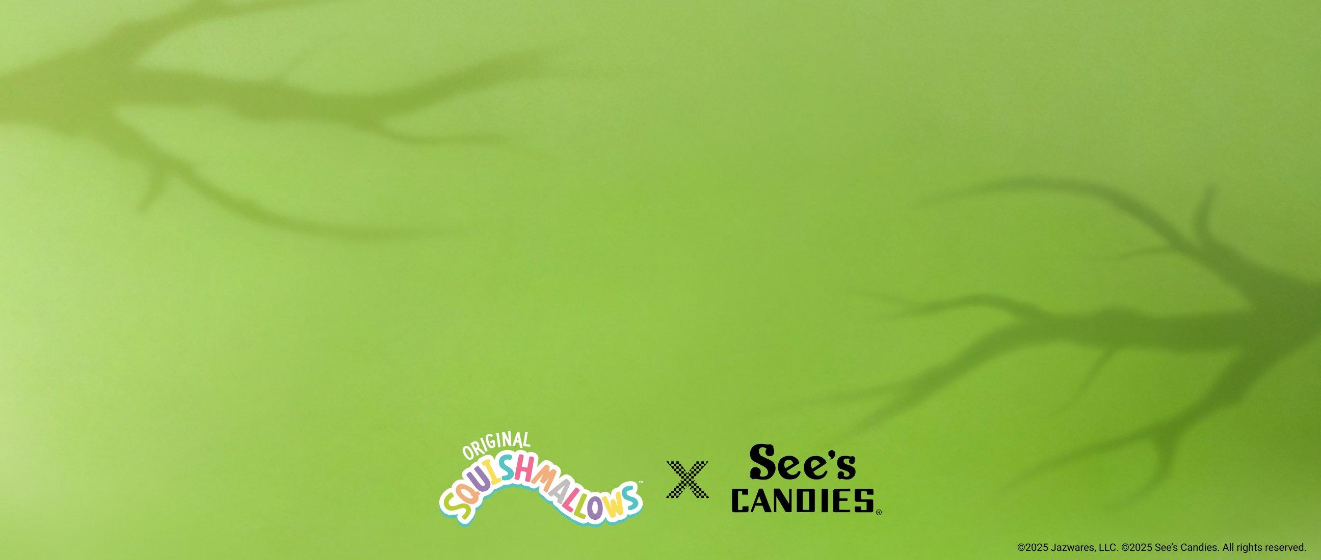 Green background with Squishmallows and See's Candies collaboration