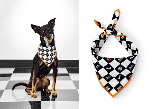 Dogust Bandana