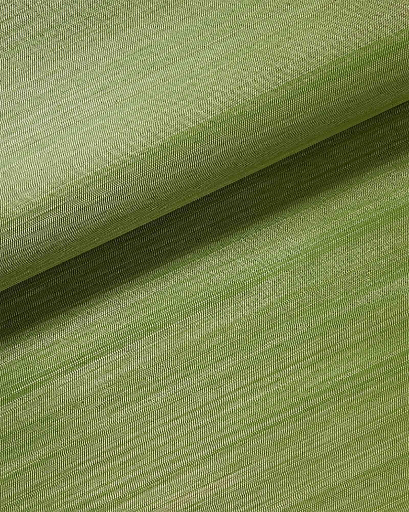 1053500WallpaperGrassclothGrassweb1850