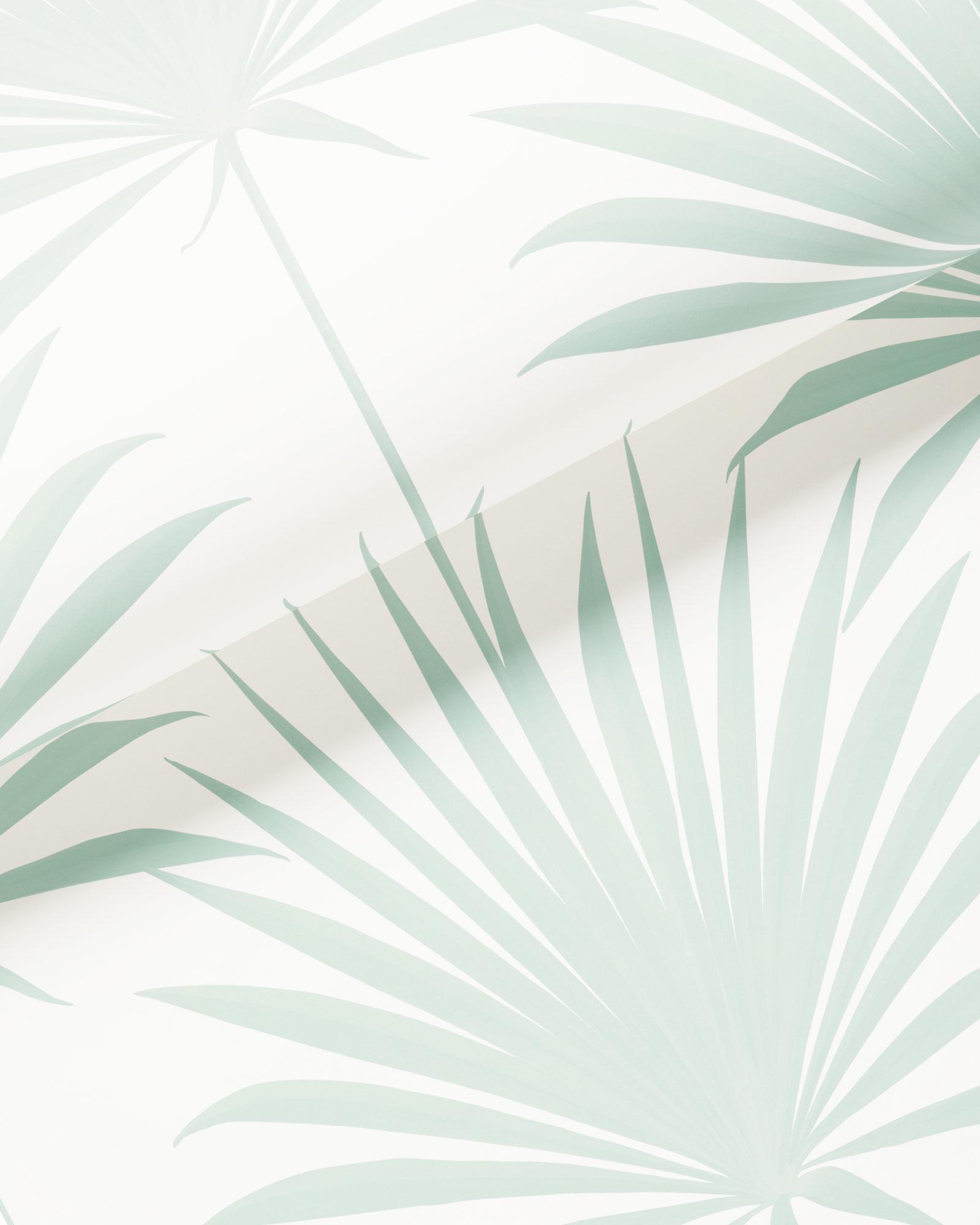 1063897WallpaperIslandPalmSeaglassweb0090