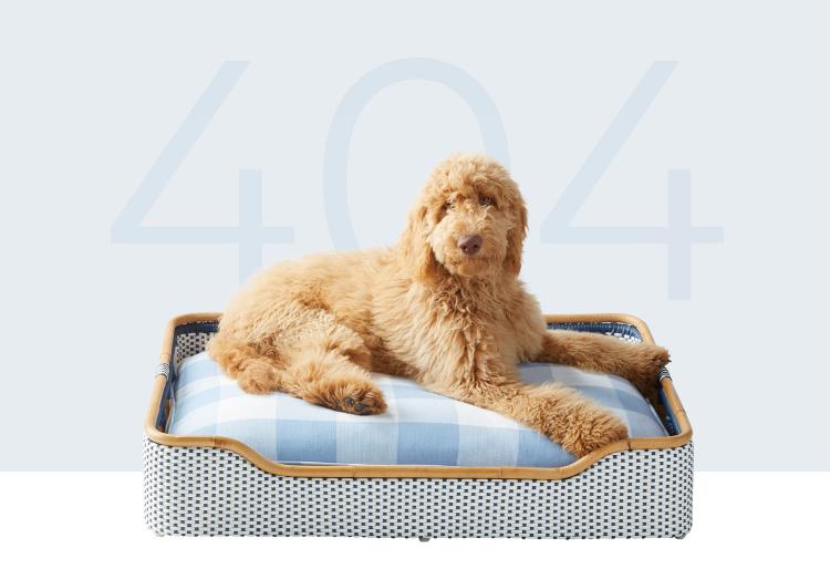 Serena and sales lily dog bed