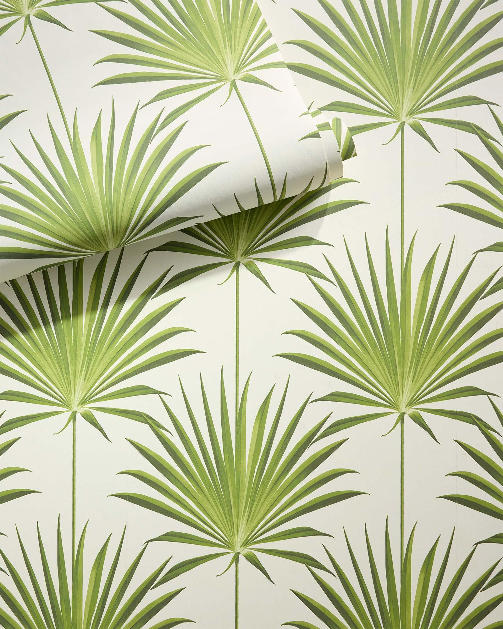 Island Palm Wallpaper
