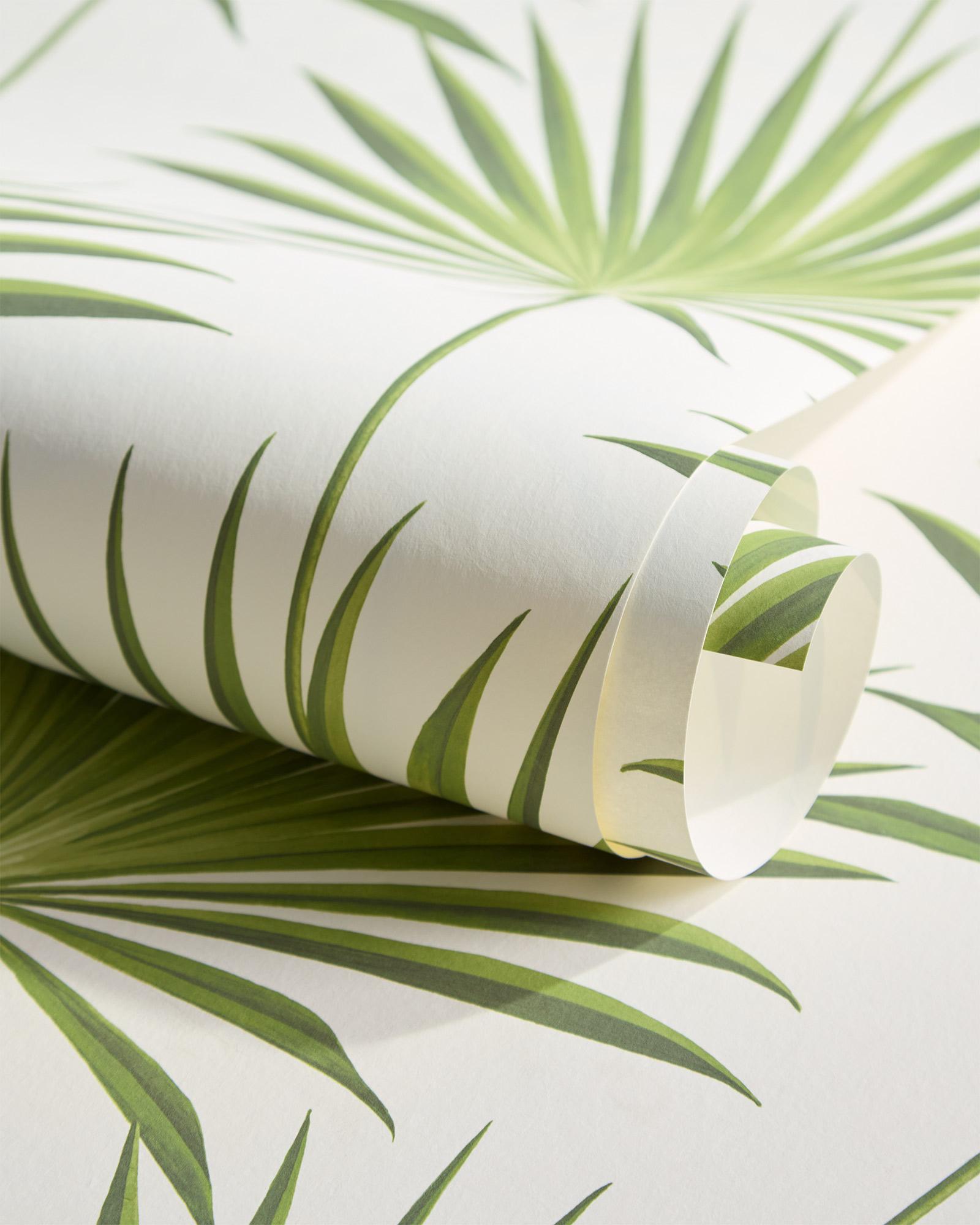 Island Palm Wallpaper - Thumbnail 4