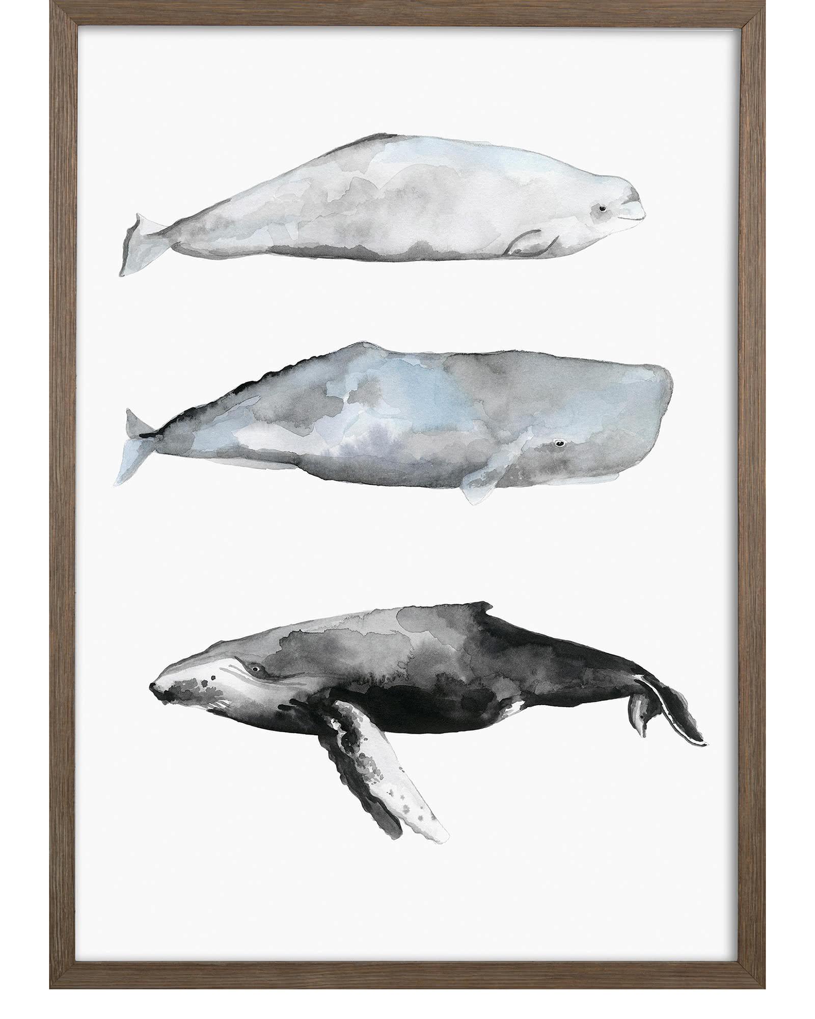 Gallery image with a fresh perspective