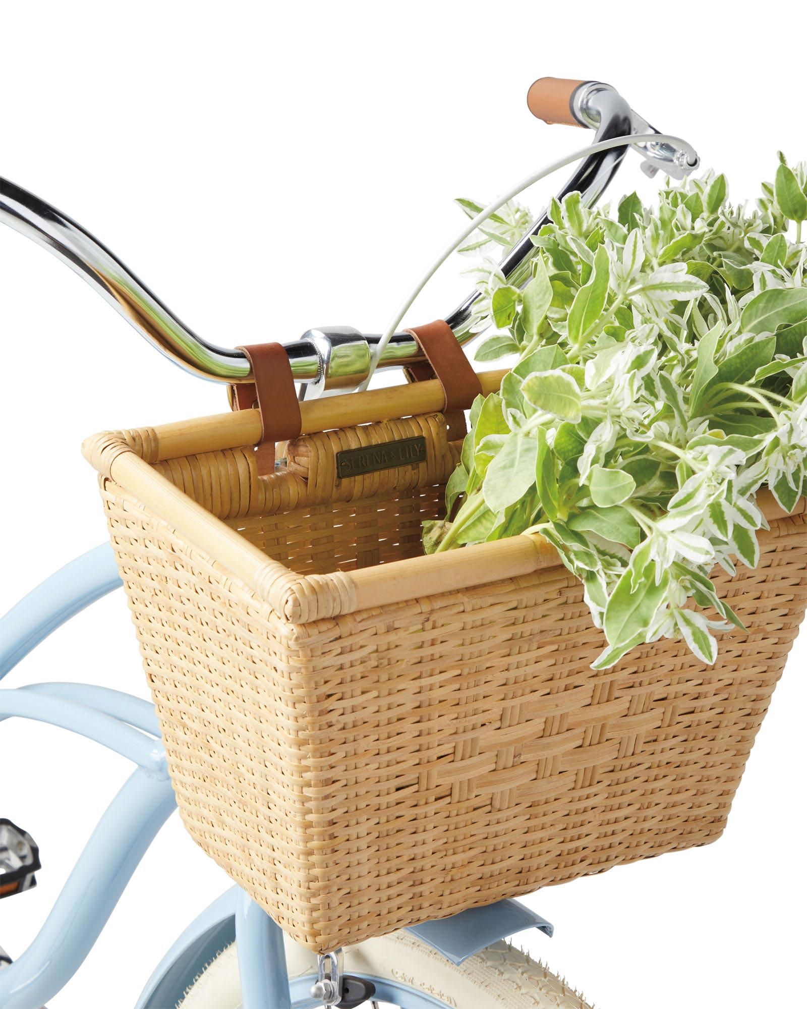 Beach cruiser bike discount basket