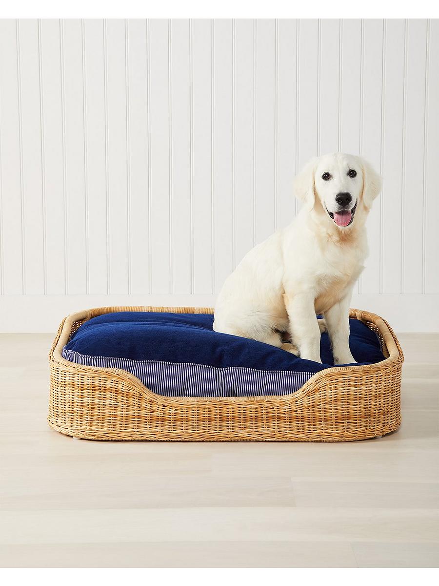 Pet cots for dogs online