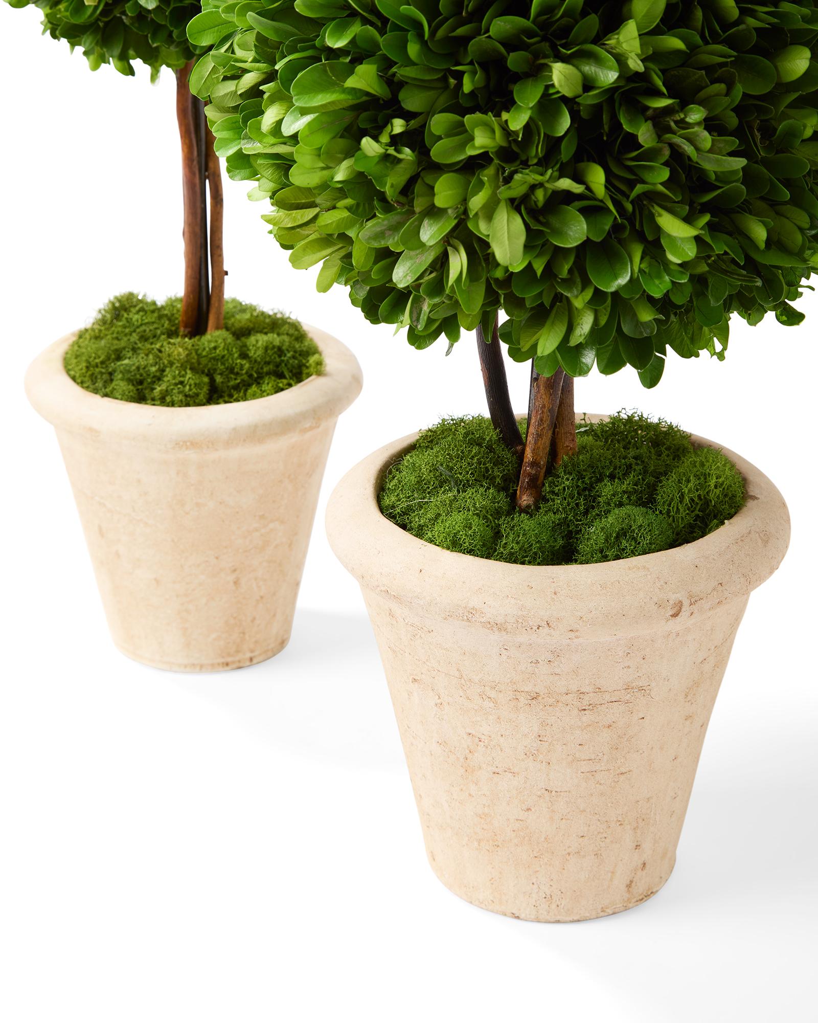 Decor-Faux-Topiaries-Boxwood-Group-web-0315