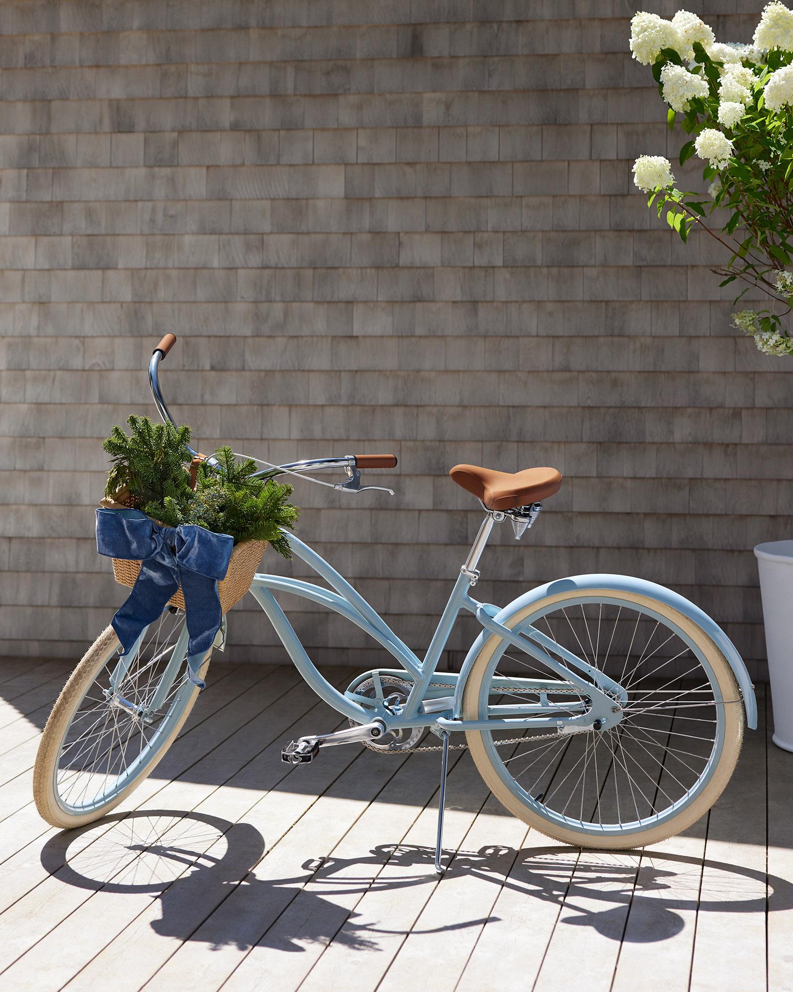 Beach cruiser with basket online