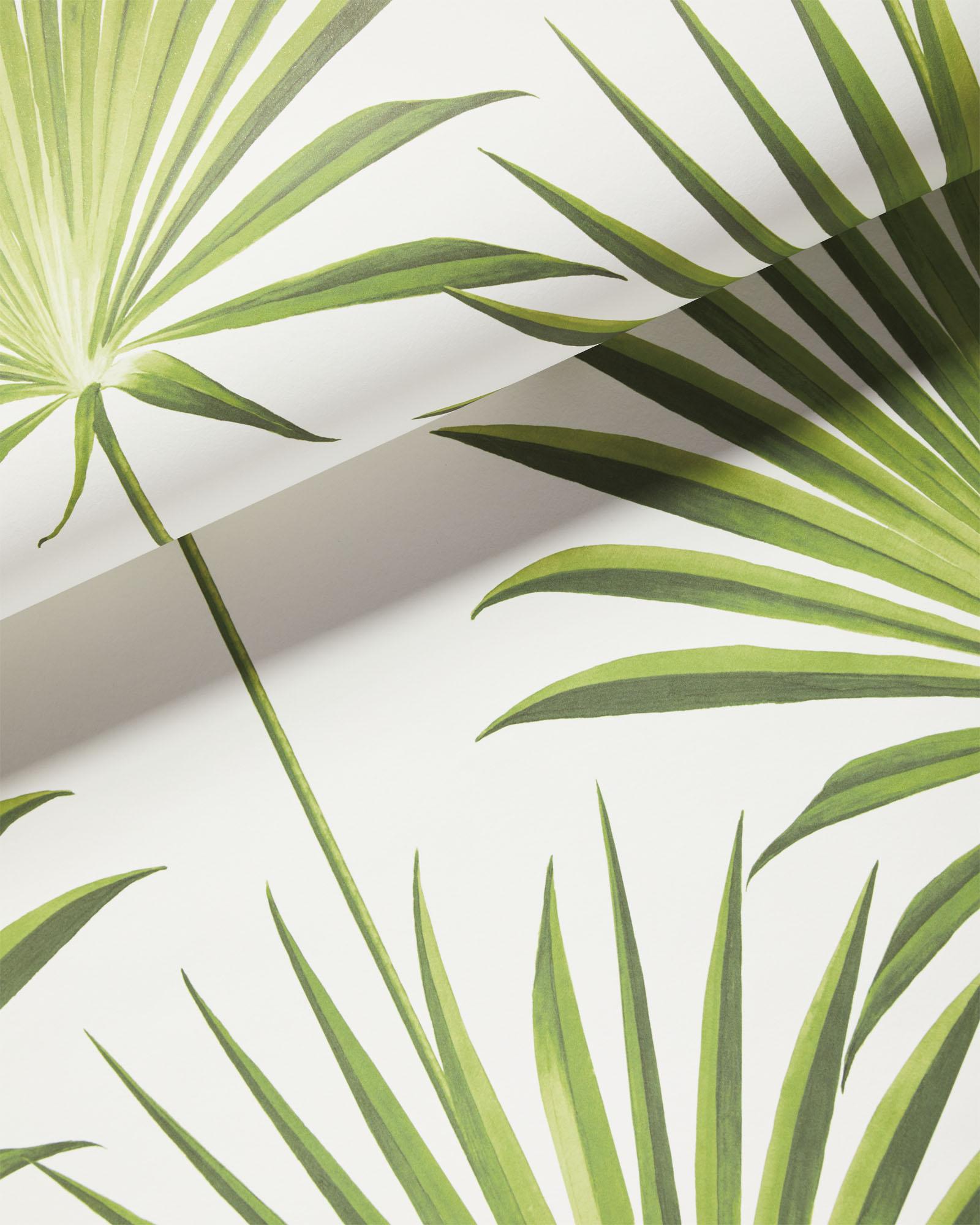 Pacifico Palm' Wallpaper by Nathan Turner - Pink