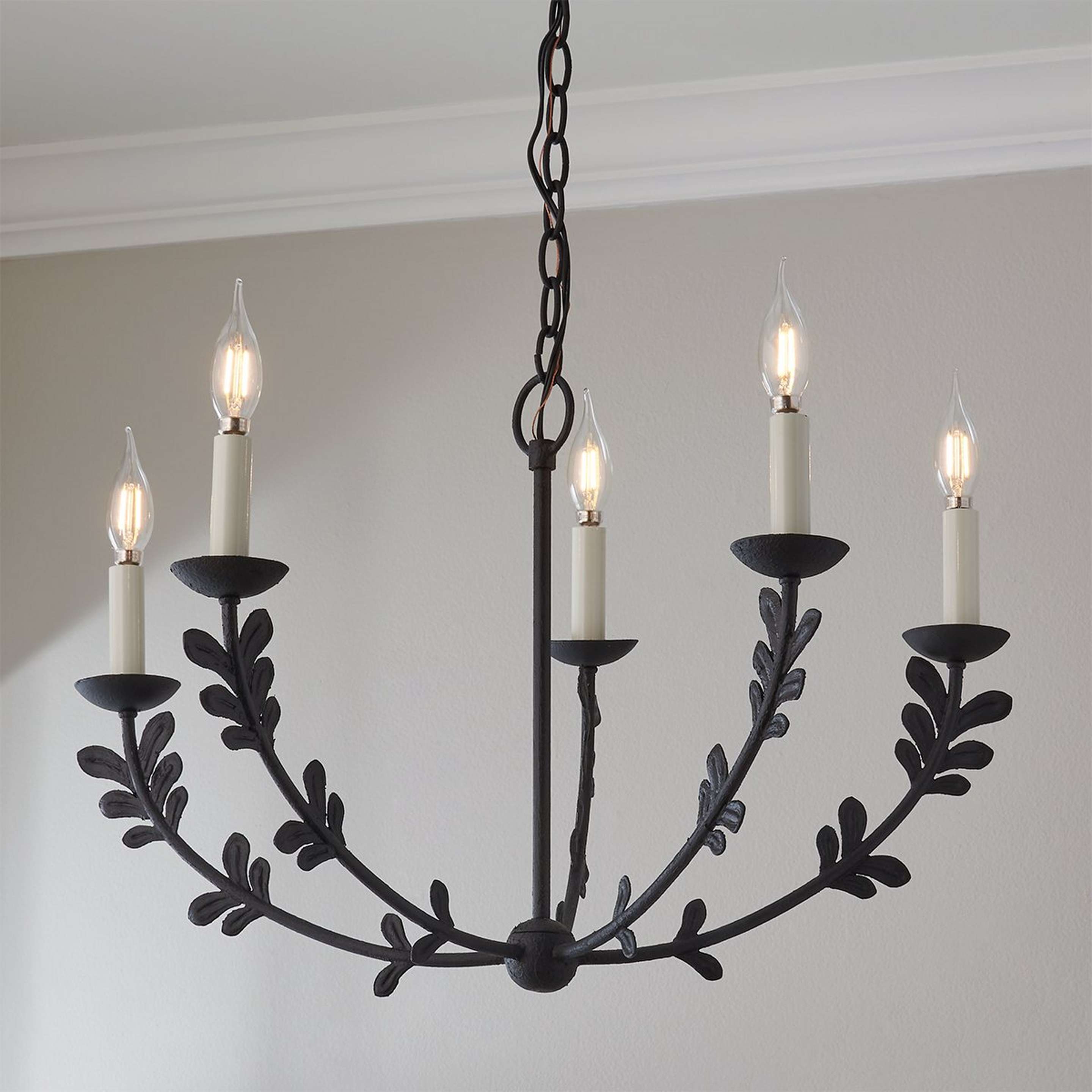 A Zenoba Chandelier - Small with Black Iron color