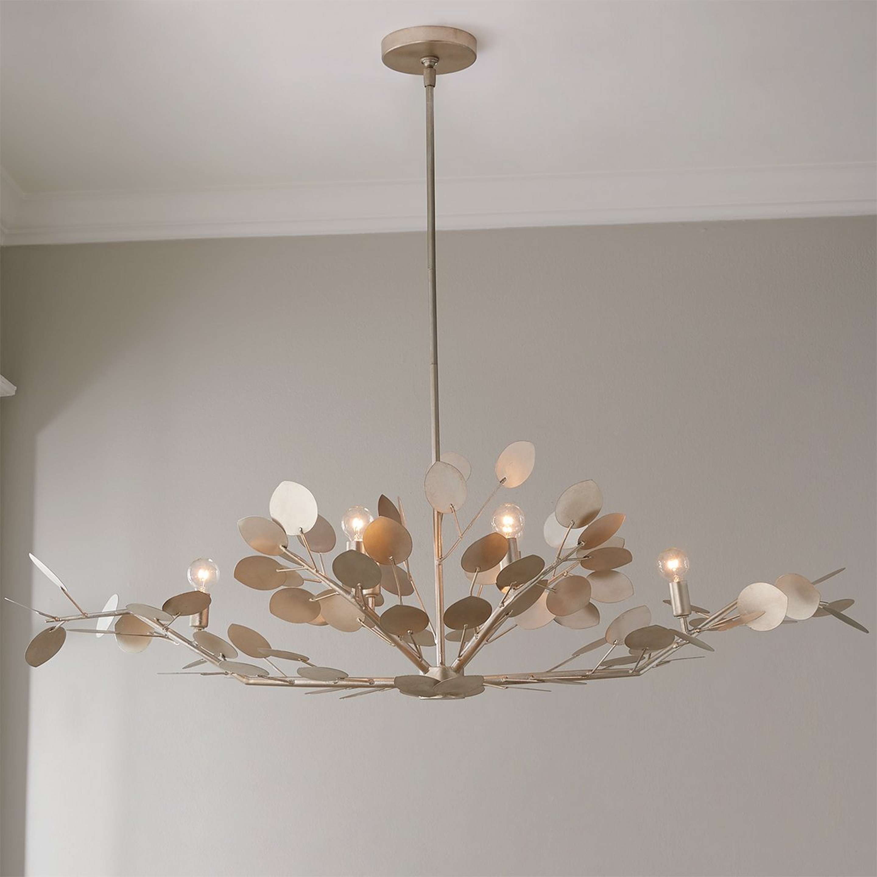 A Alana Island Chandelier with Silver Champagne color