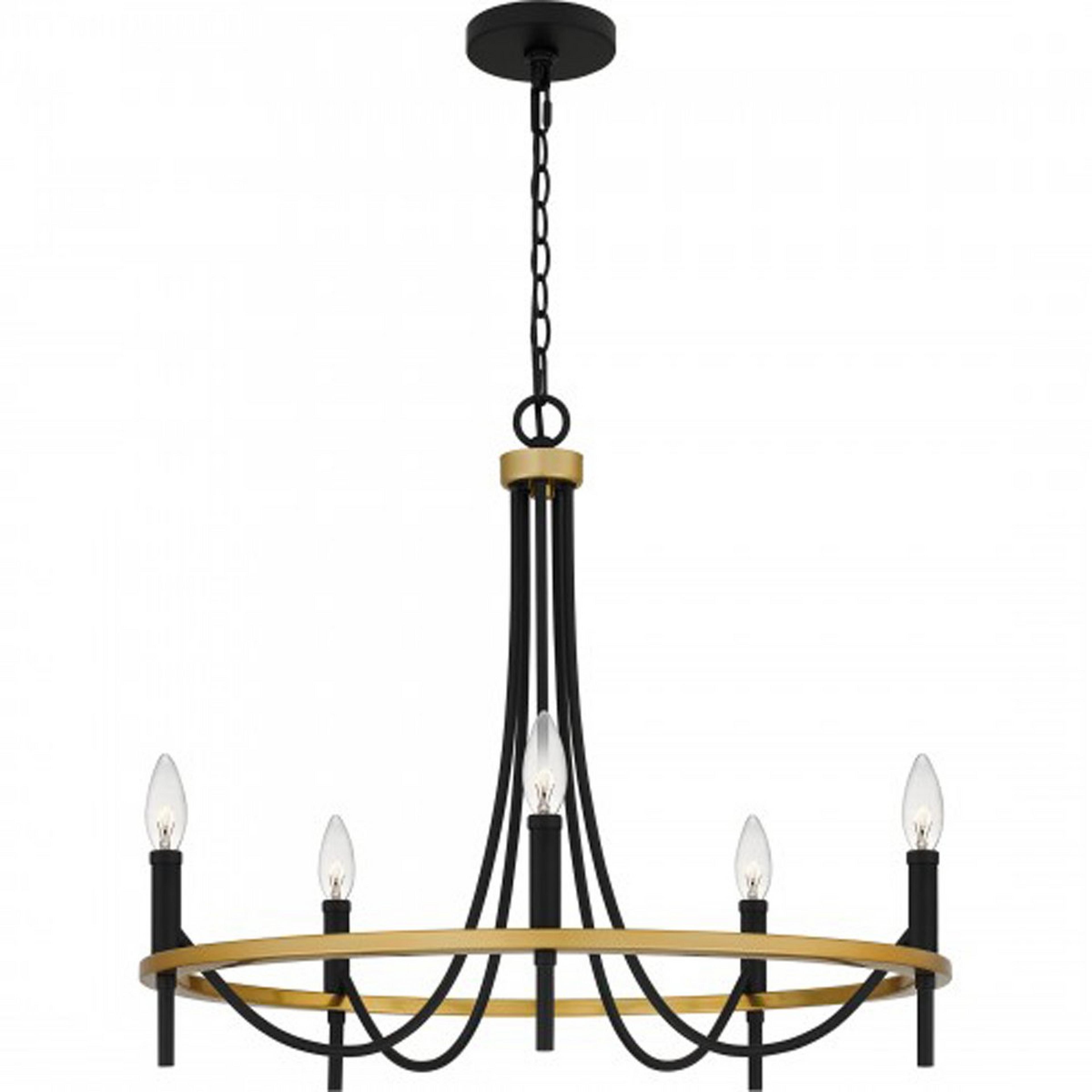 A Elaina Swag Chandelier with Matte Black / Soft Gold color