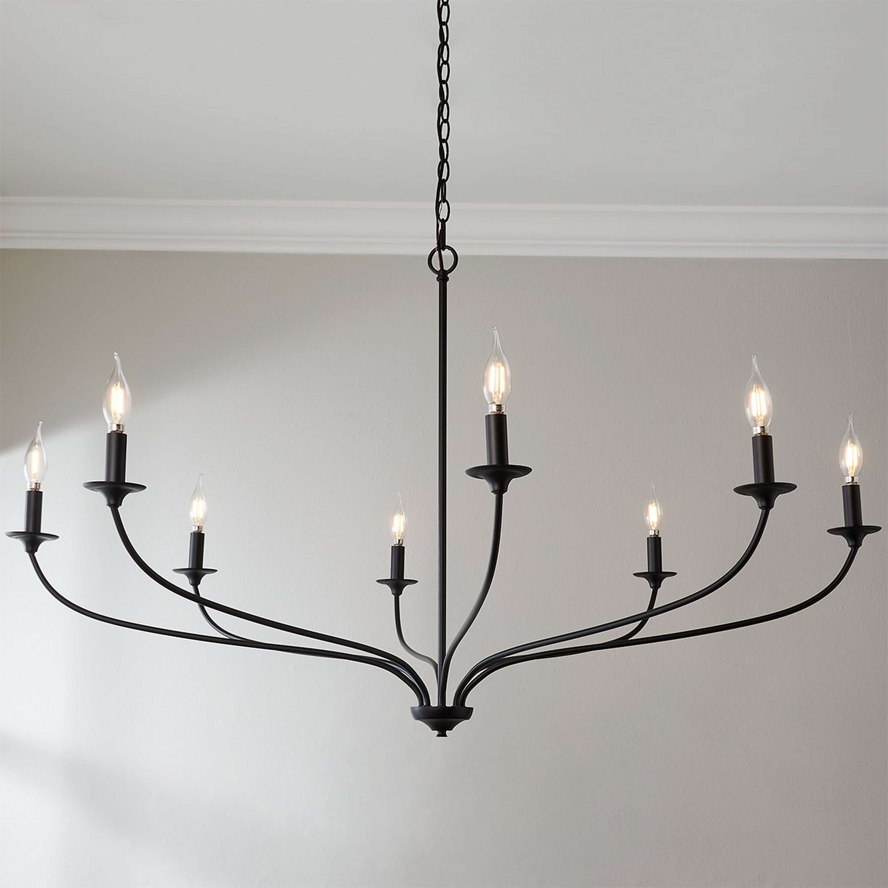 A Alainey Chandelier - 8 Light with Matte Black color
