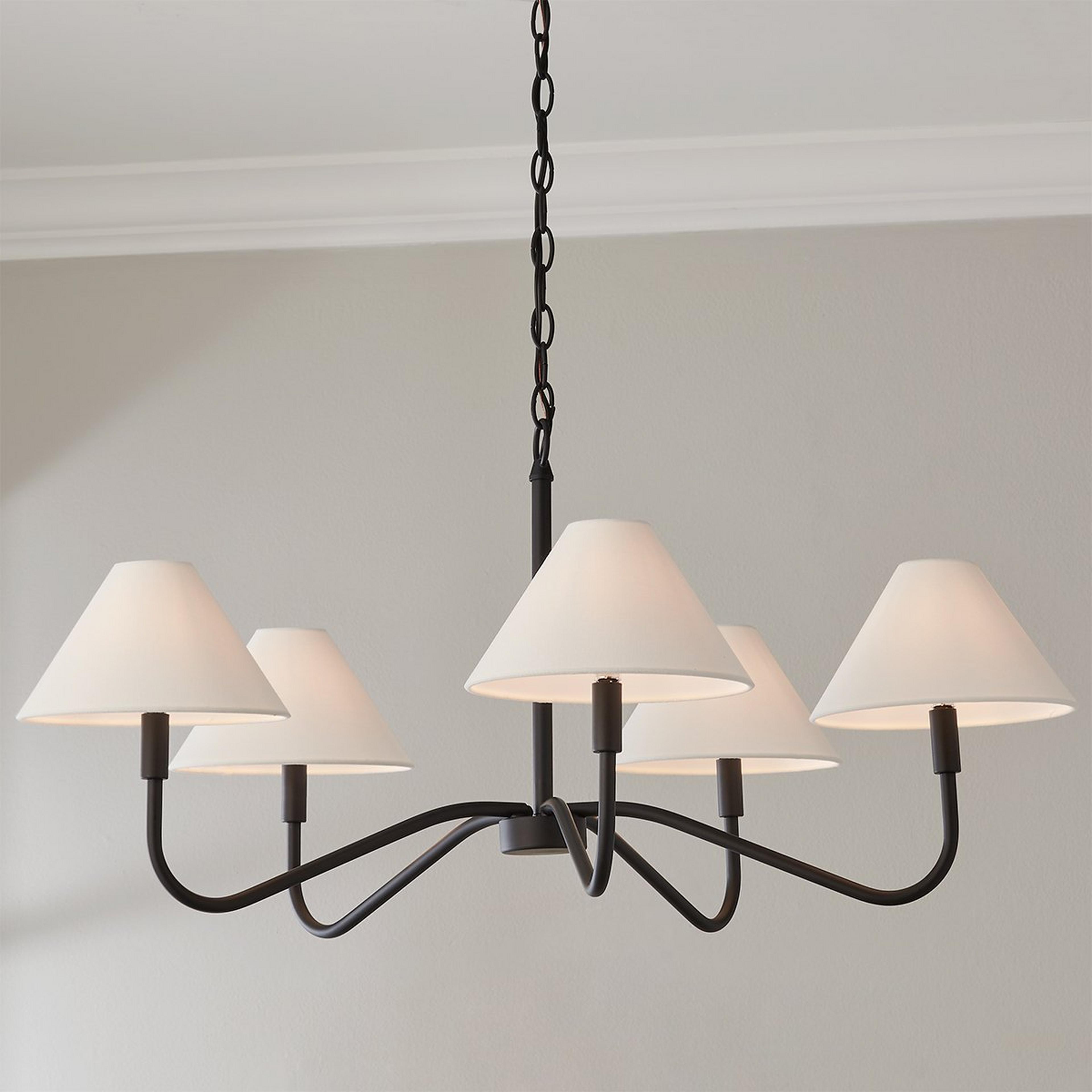 A Eldon Chandelier - Large with Black color