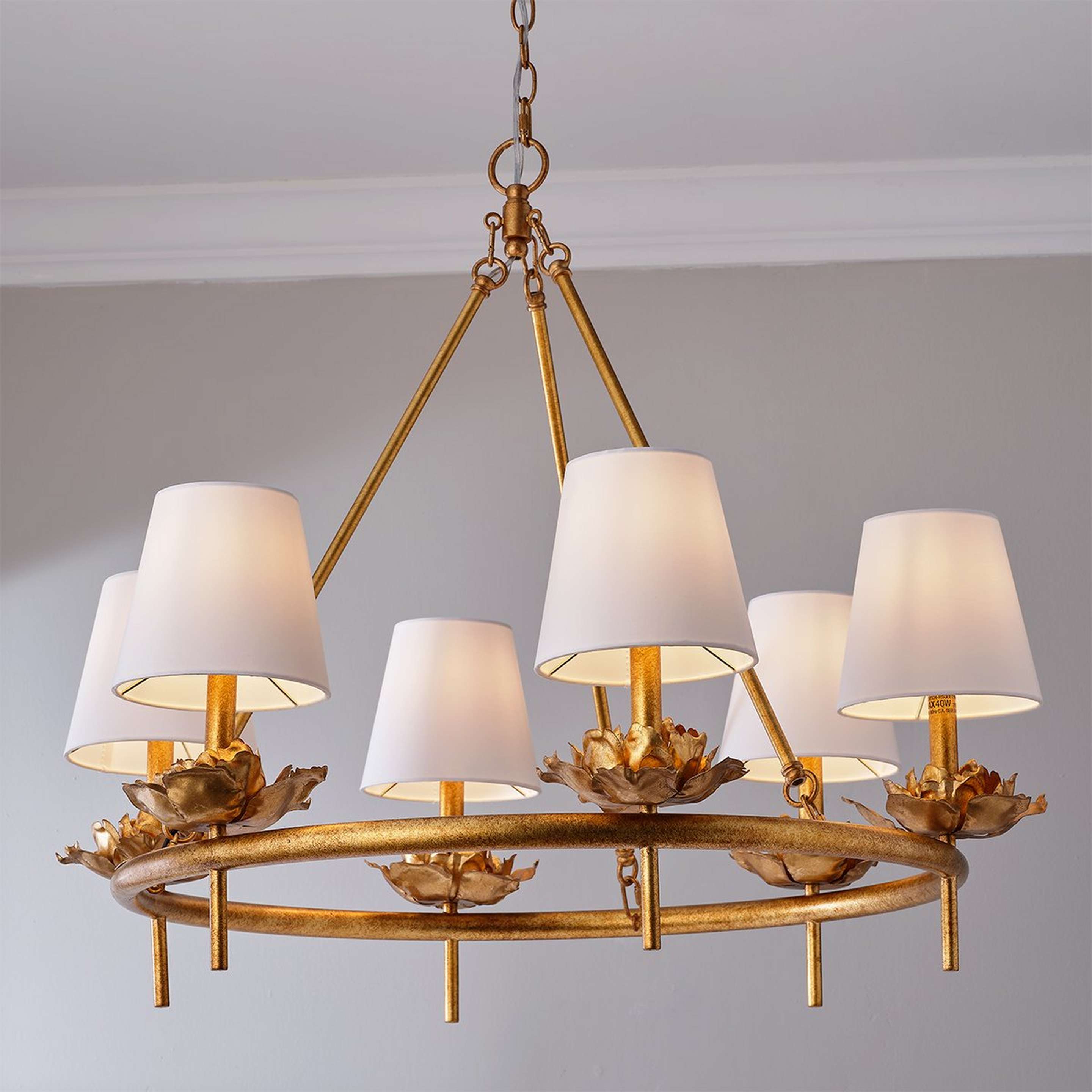 A Anthe Chandelier with Gold Leaf color