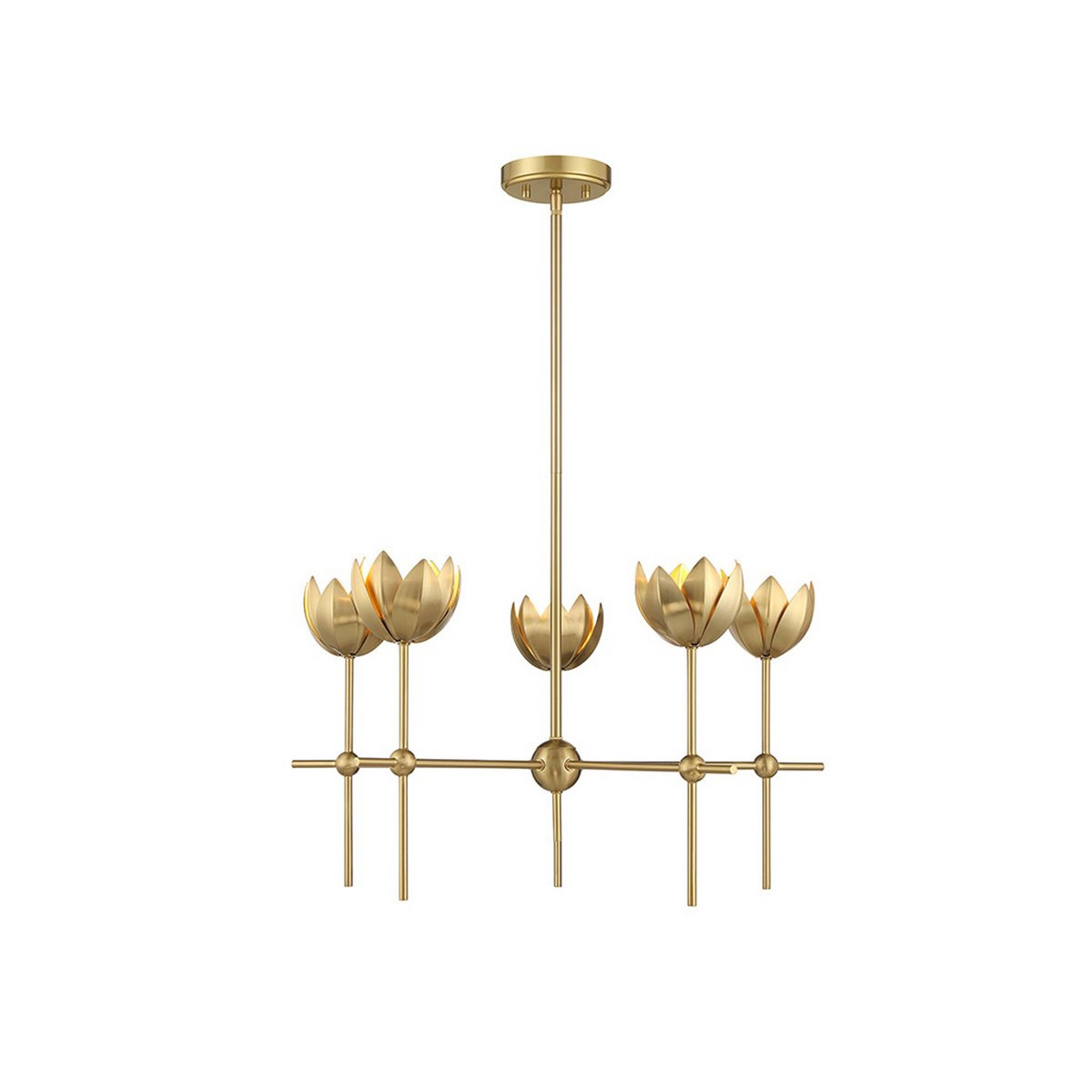 A Blumenring Chandelier with Brass color