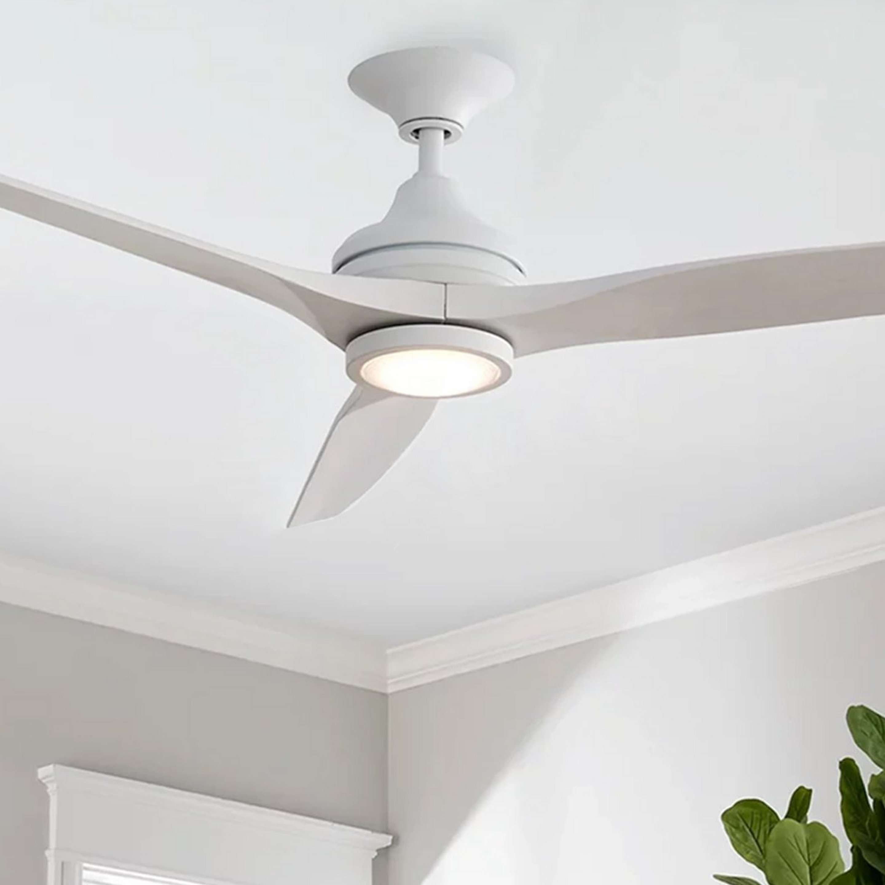 Ceiling Fans