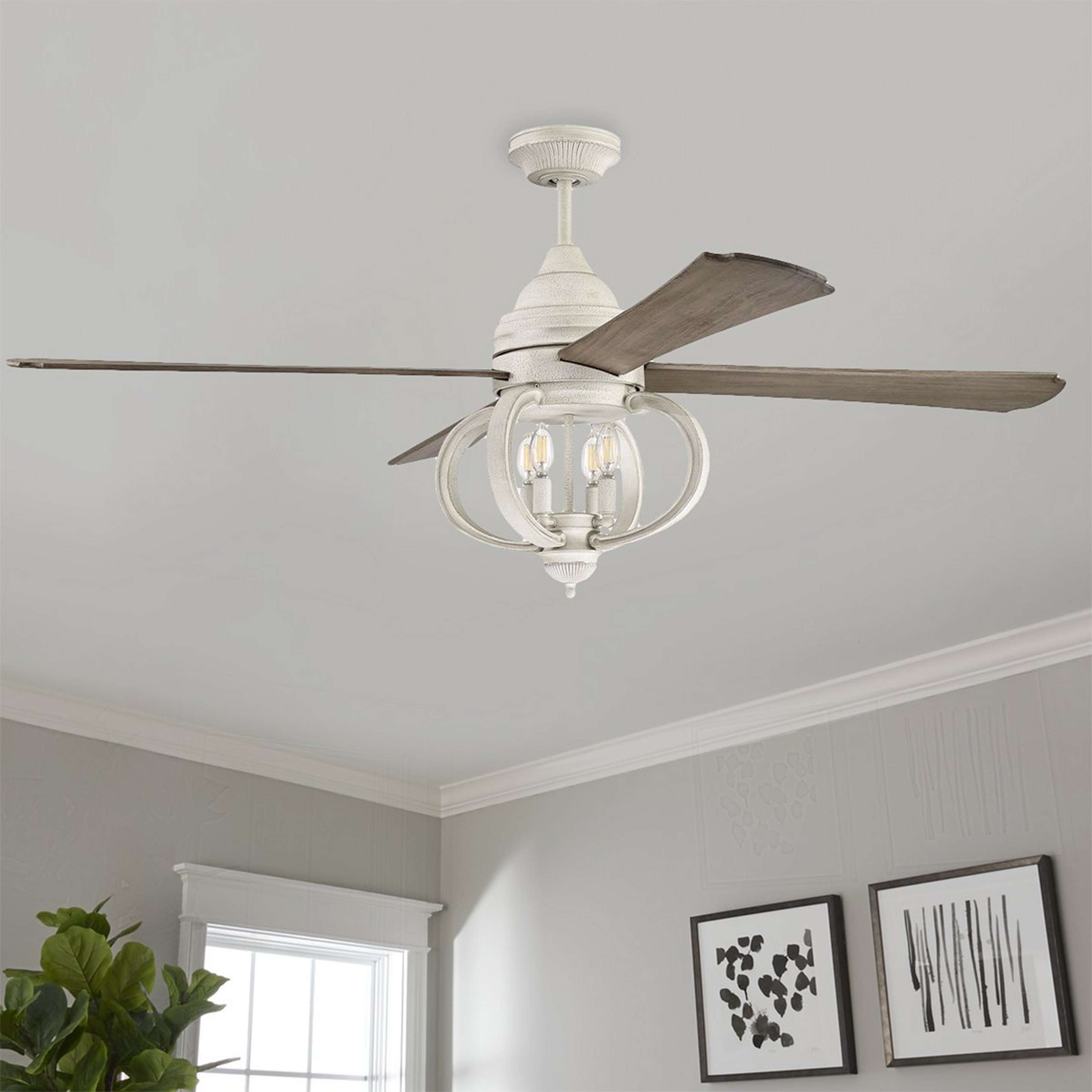 Southern Shores Ceiling Fan