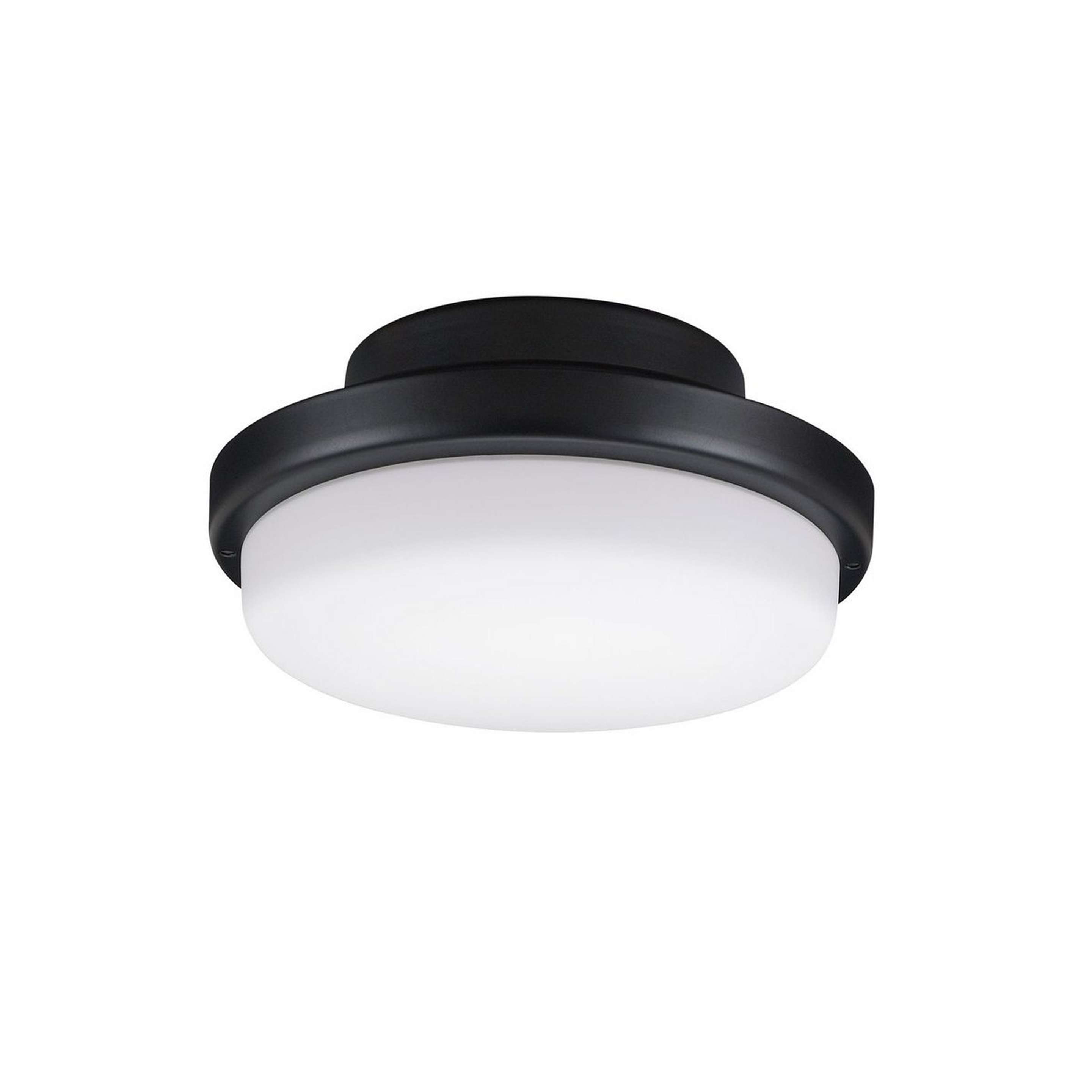 A Melinoe Ceiling Fan Light Kit - Standard - Marine Grade with Black color