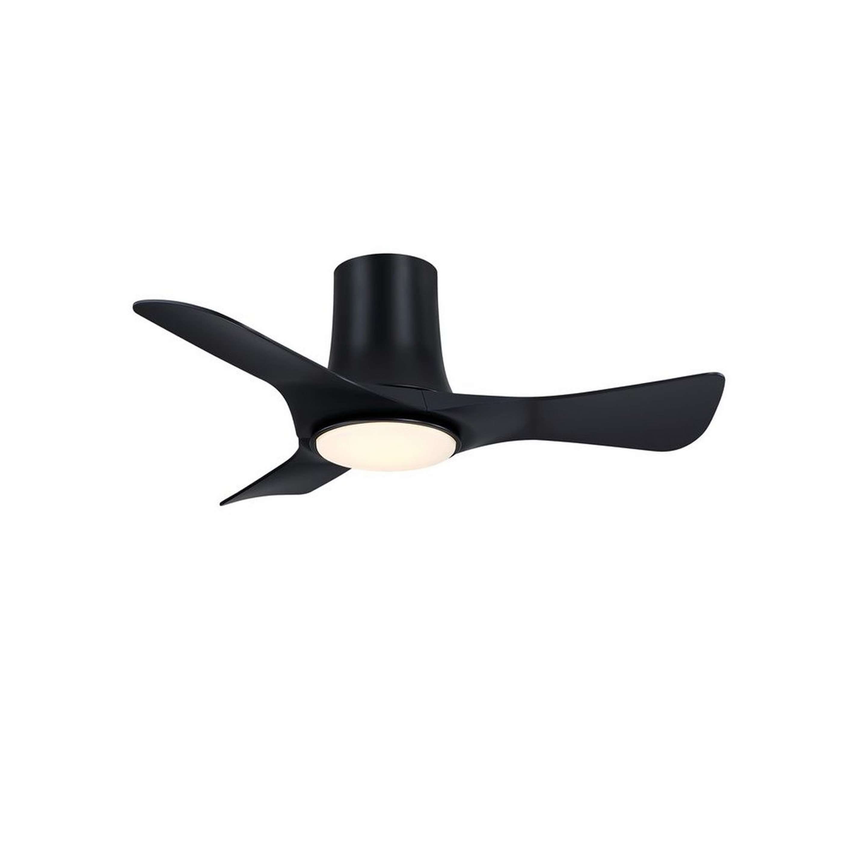 A 36" Posy LED Indoor / Outdoor Ceiling Fan with Black color