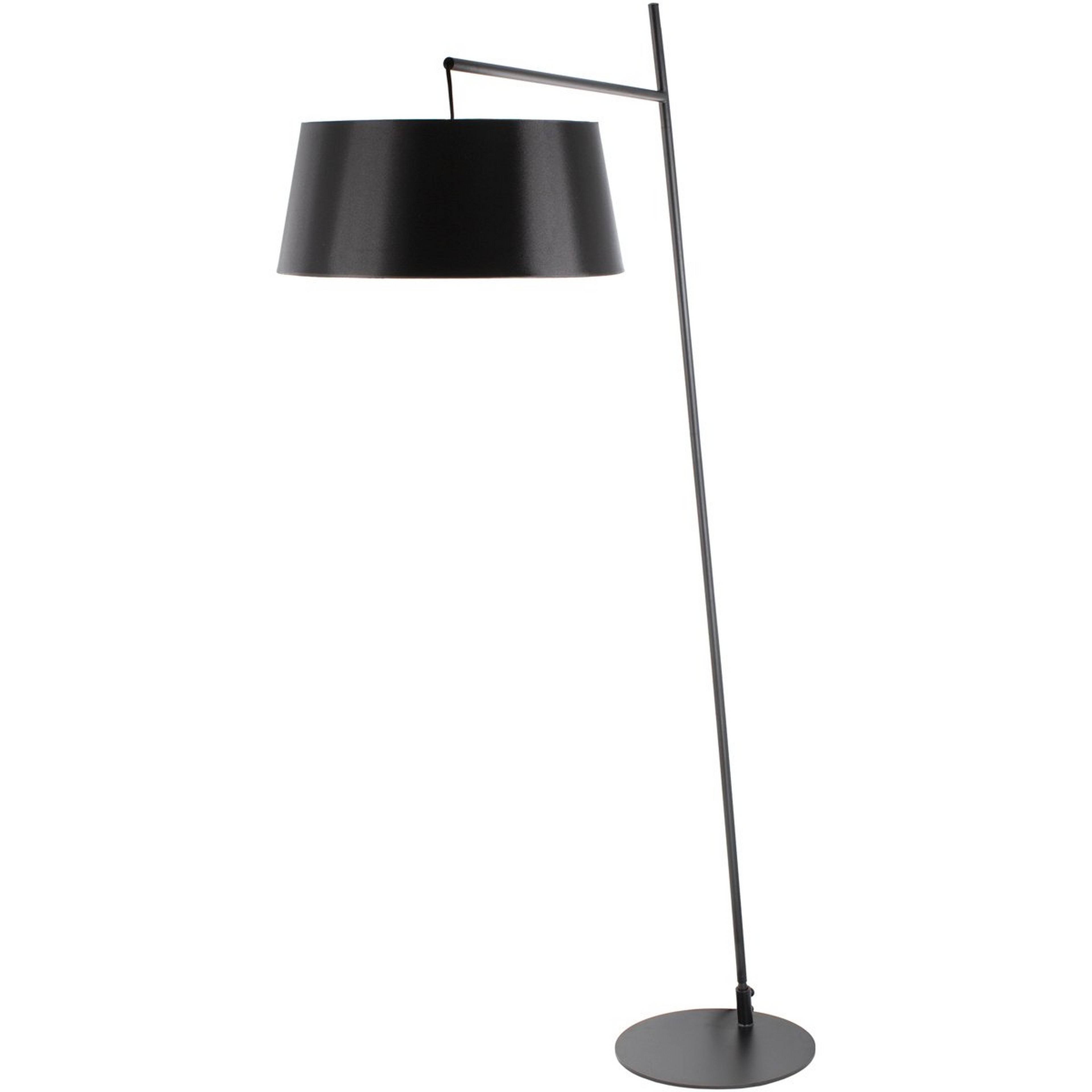 A Aiden Floor Lamp with Black color
