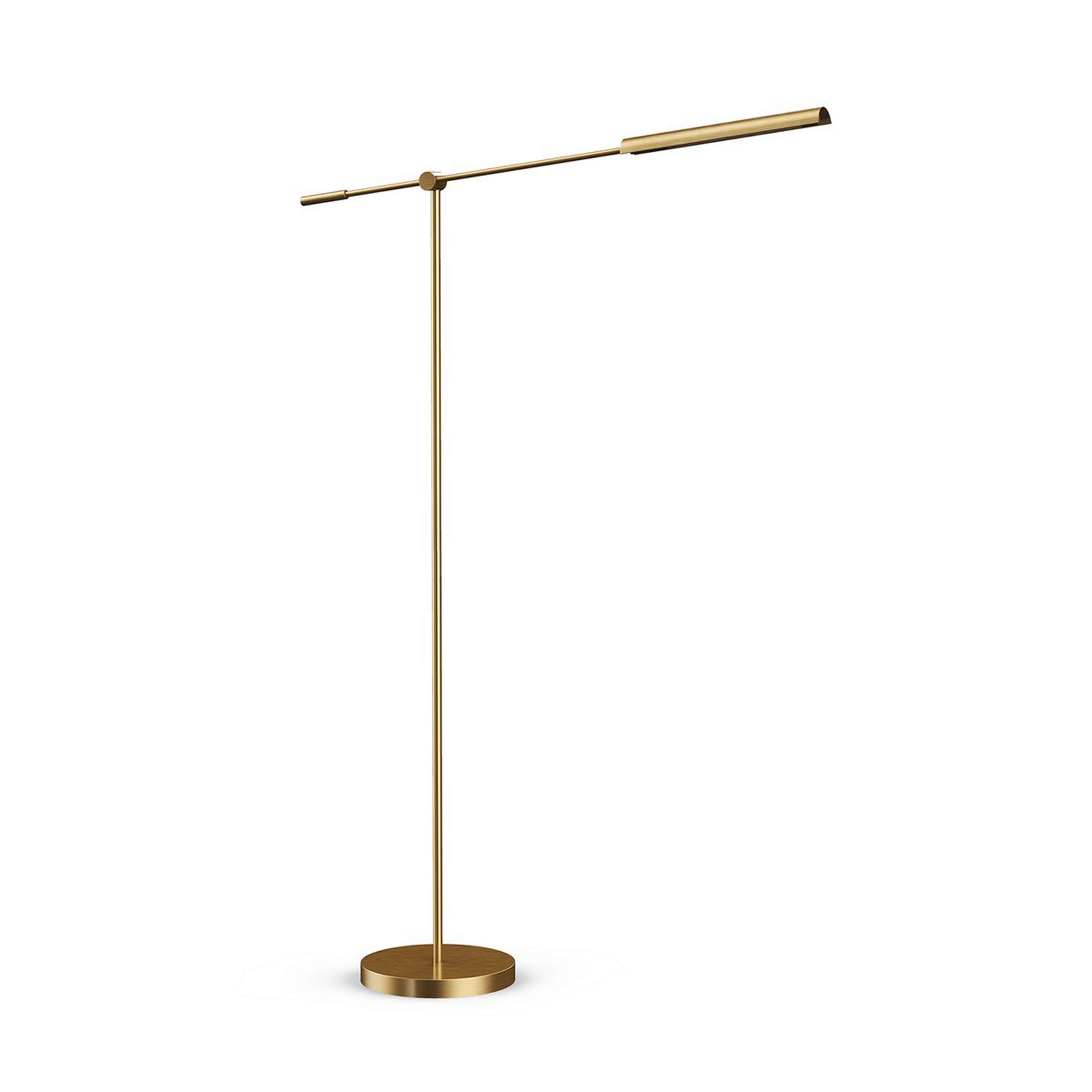 A Deidra LED Floor Lamp with Aged Brass color
