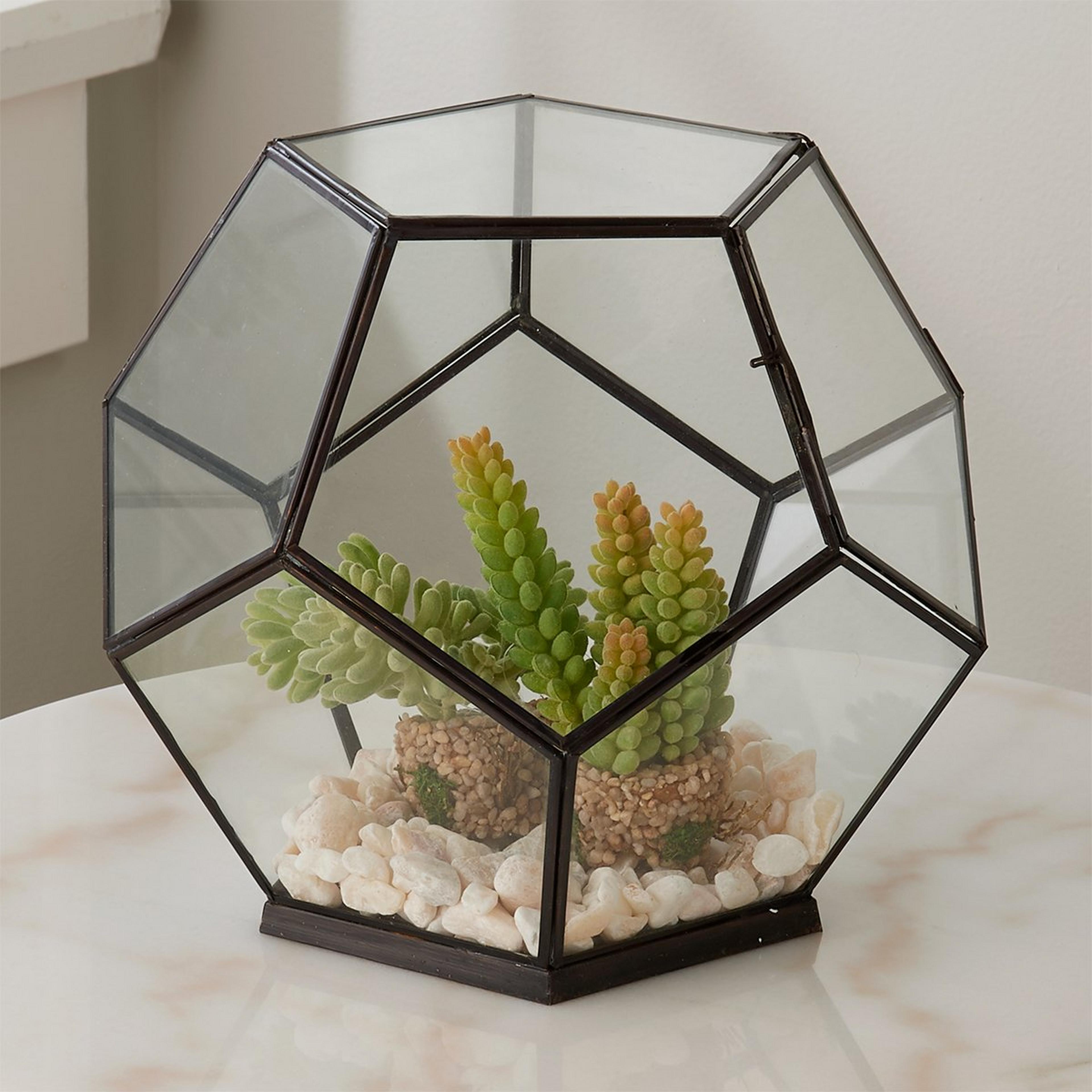 A Glass Prism Terrarium with Bronze / Clear Glass  color