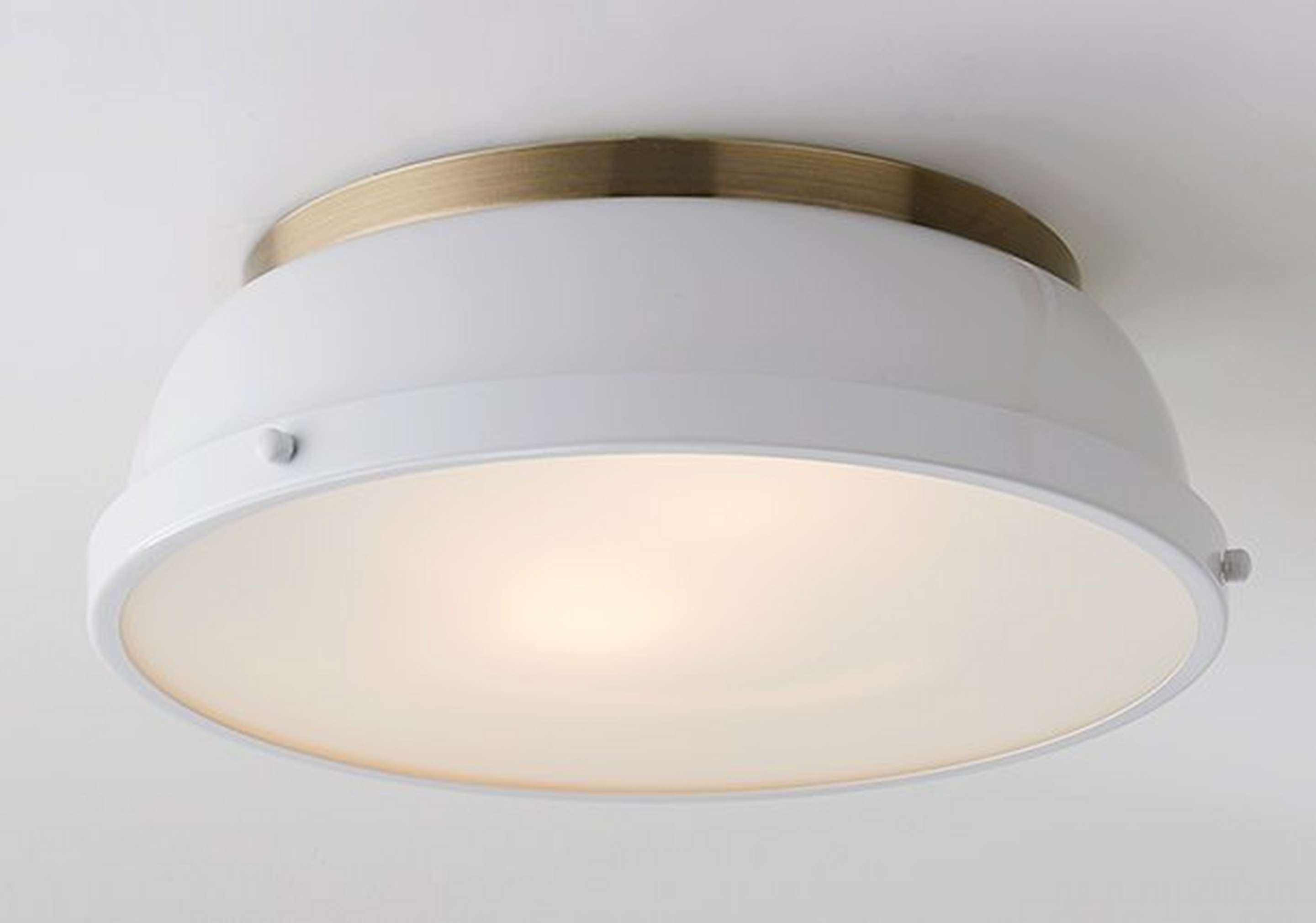 Transitional Ceiling Lights