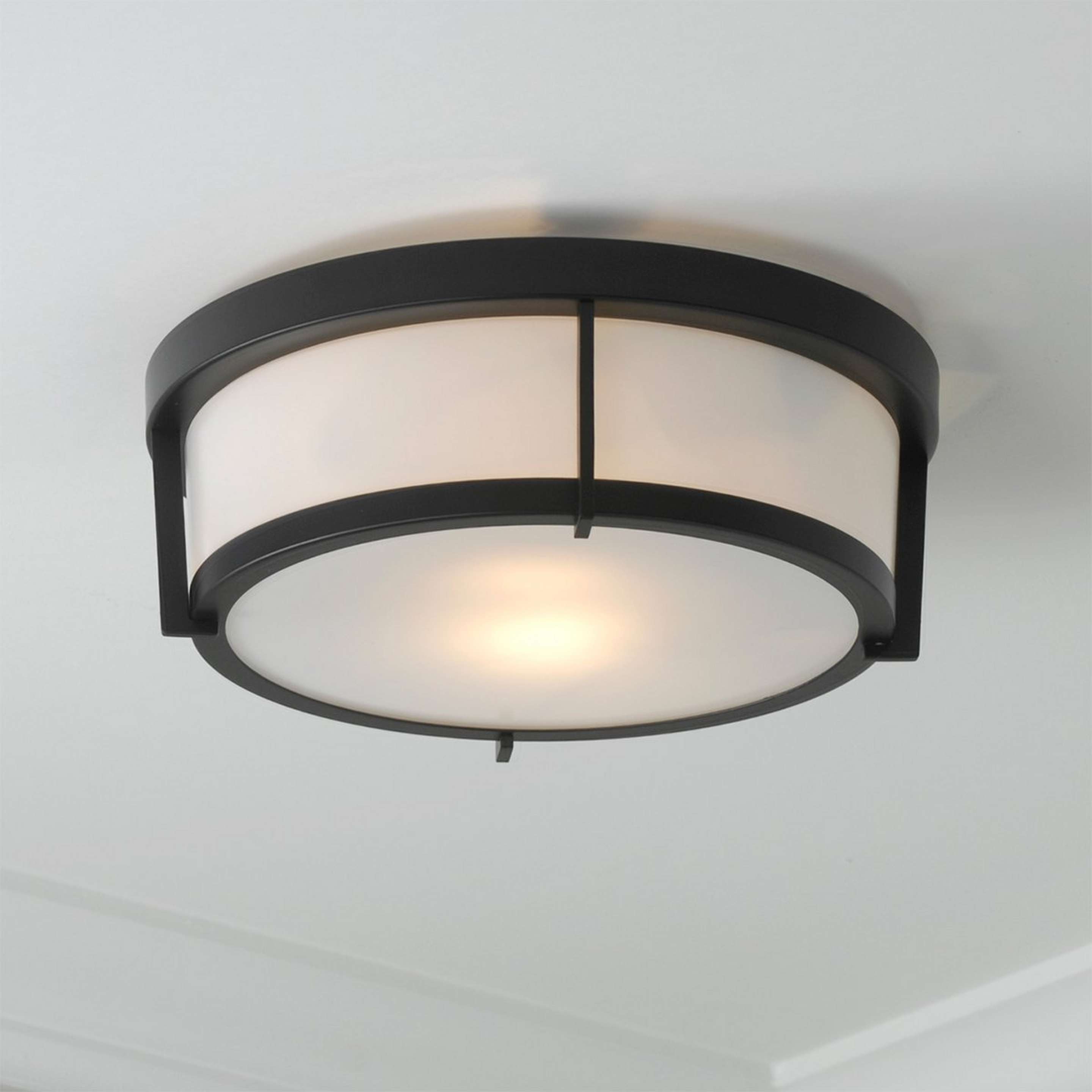 A Oliver Ceiling Light - 2 Light with Black / White color