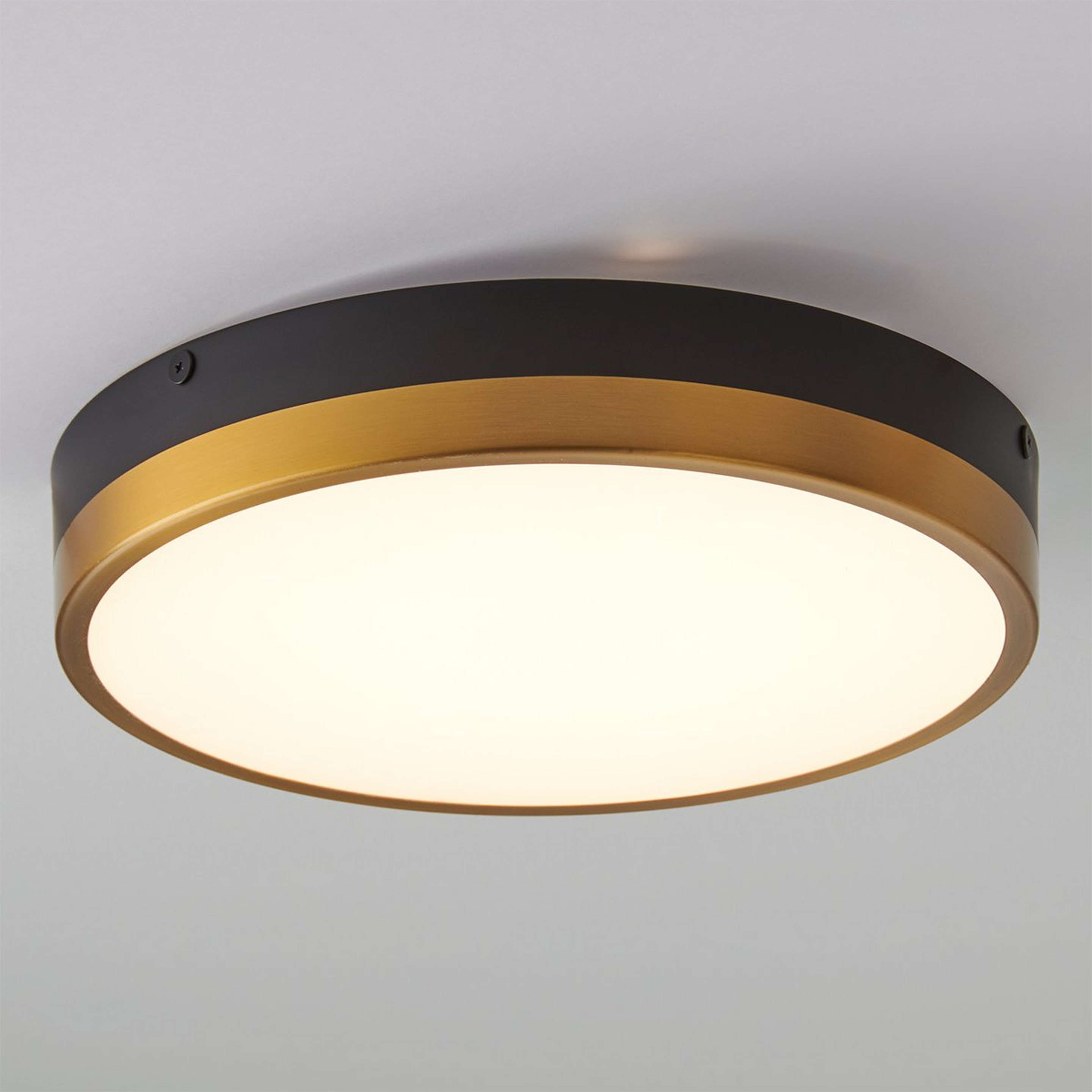 A Erwina LED Round Ceiling Light - Small with Matte Black / Aged Gold color