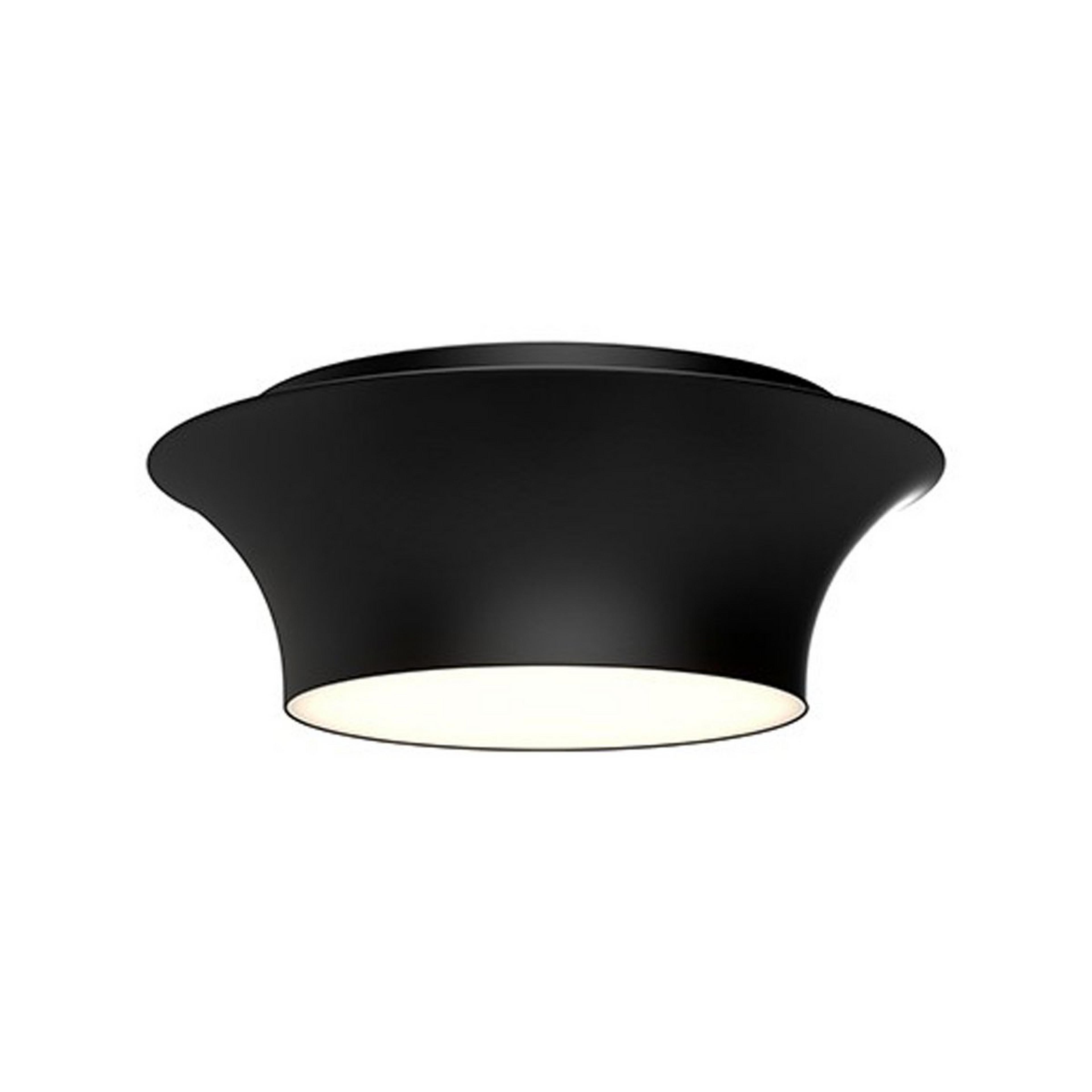 A Sedalia Ceiling Light with undefined color