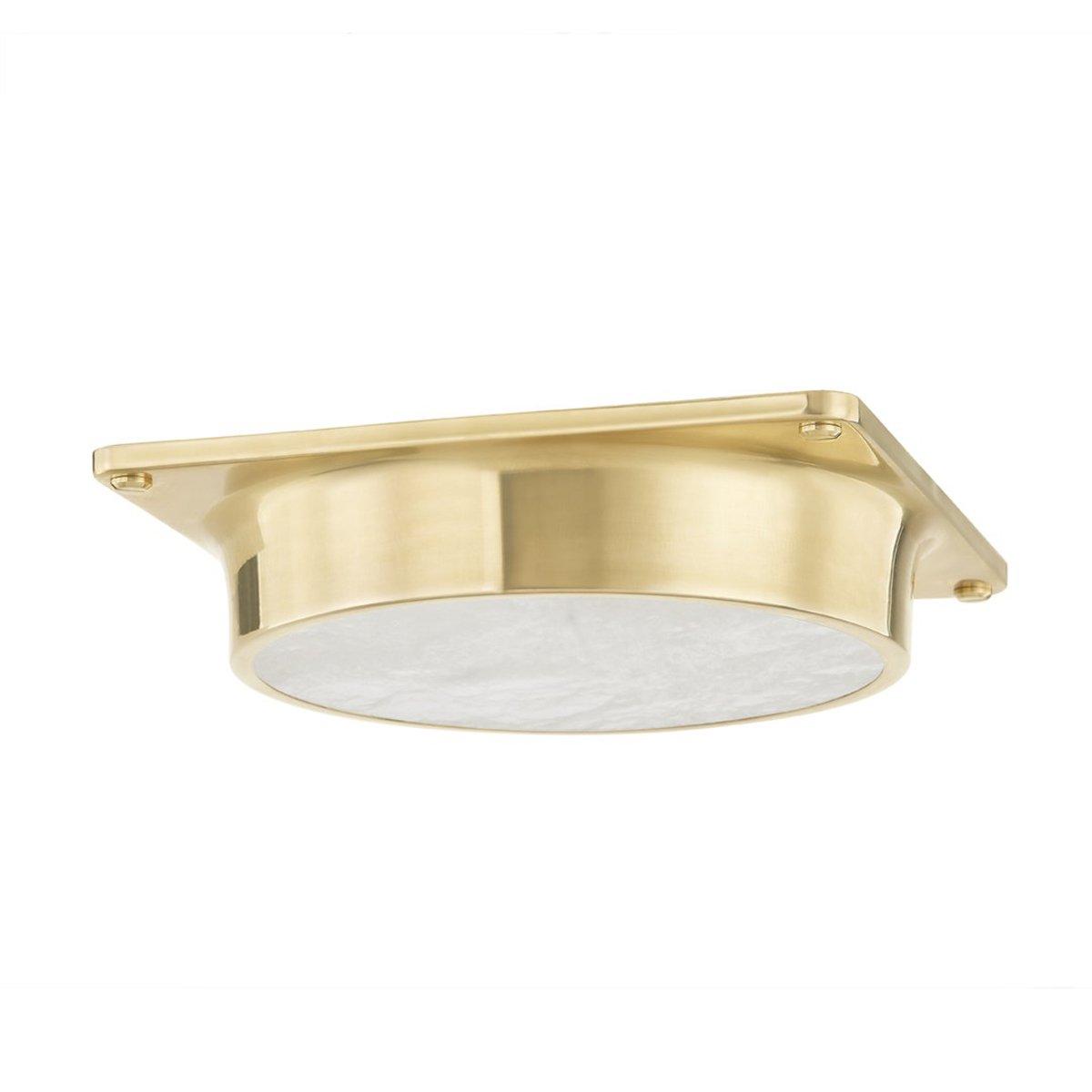 Demitra LED Ceiling Light