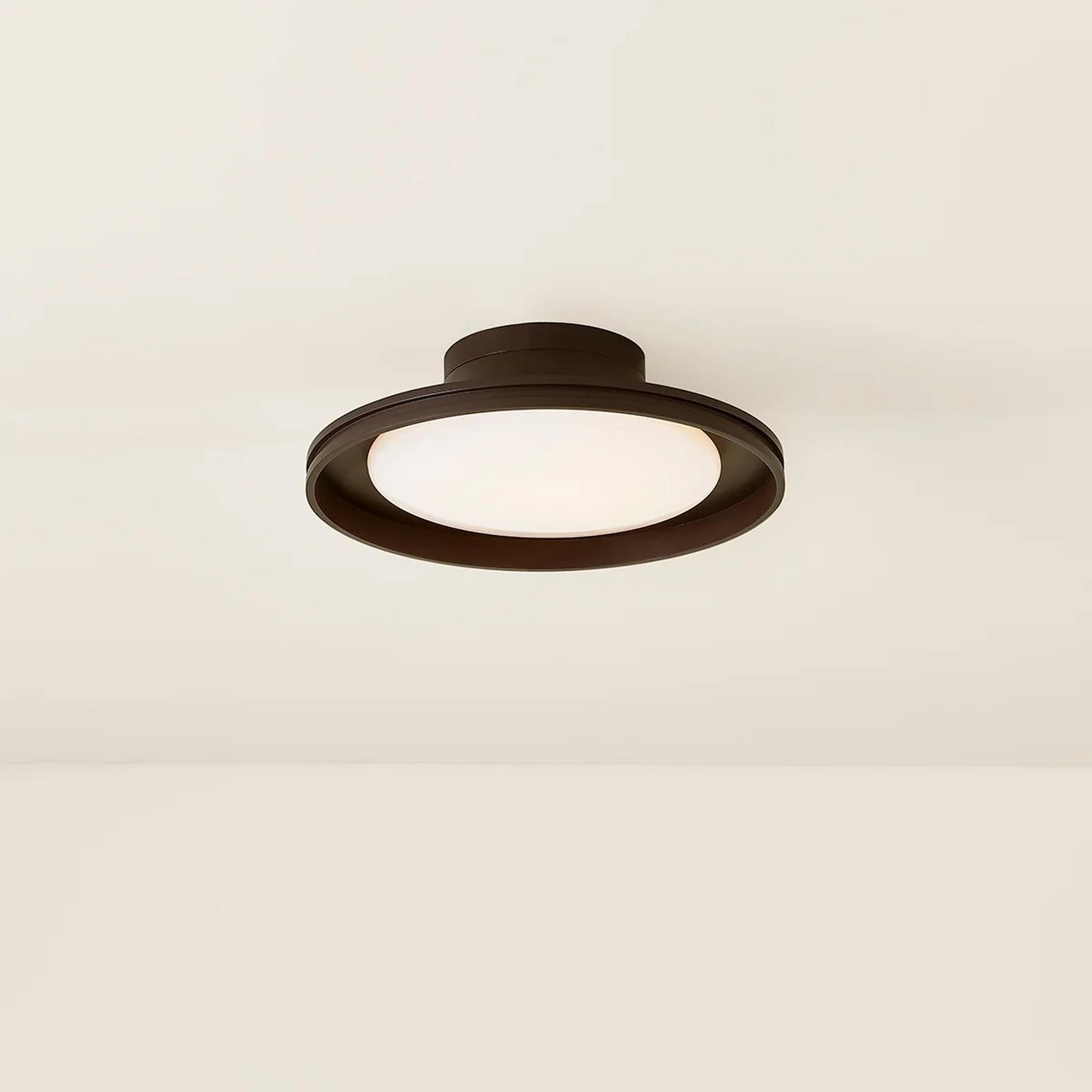 A Kindred LED Indoor / Outdoor Ceiling Light with Bronze / White Glass color