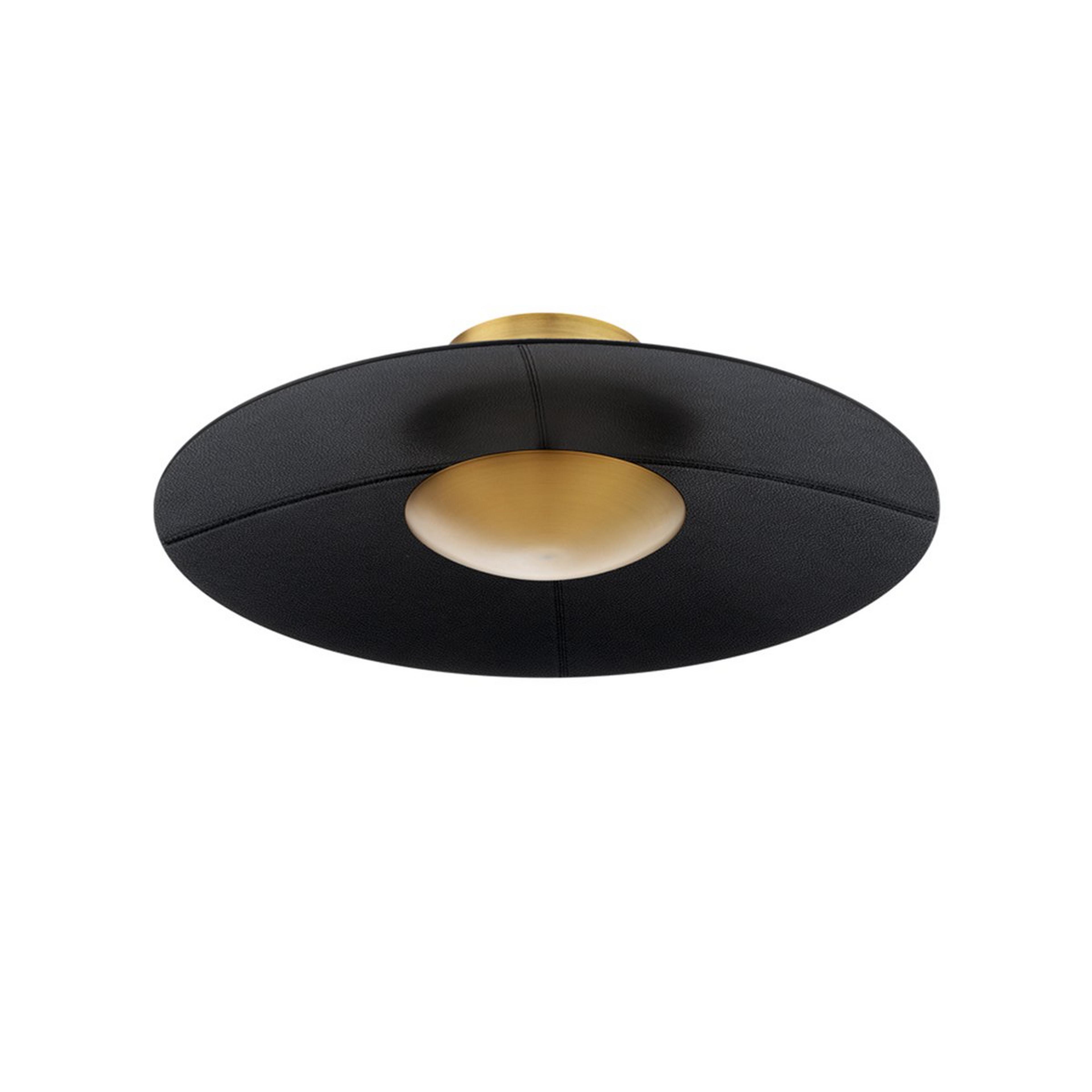 Ivano LED Convertible Ceiling Light
